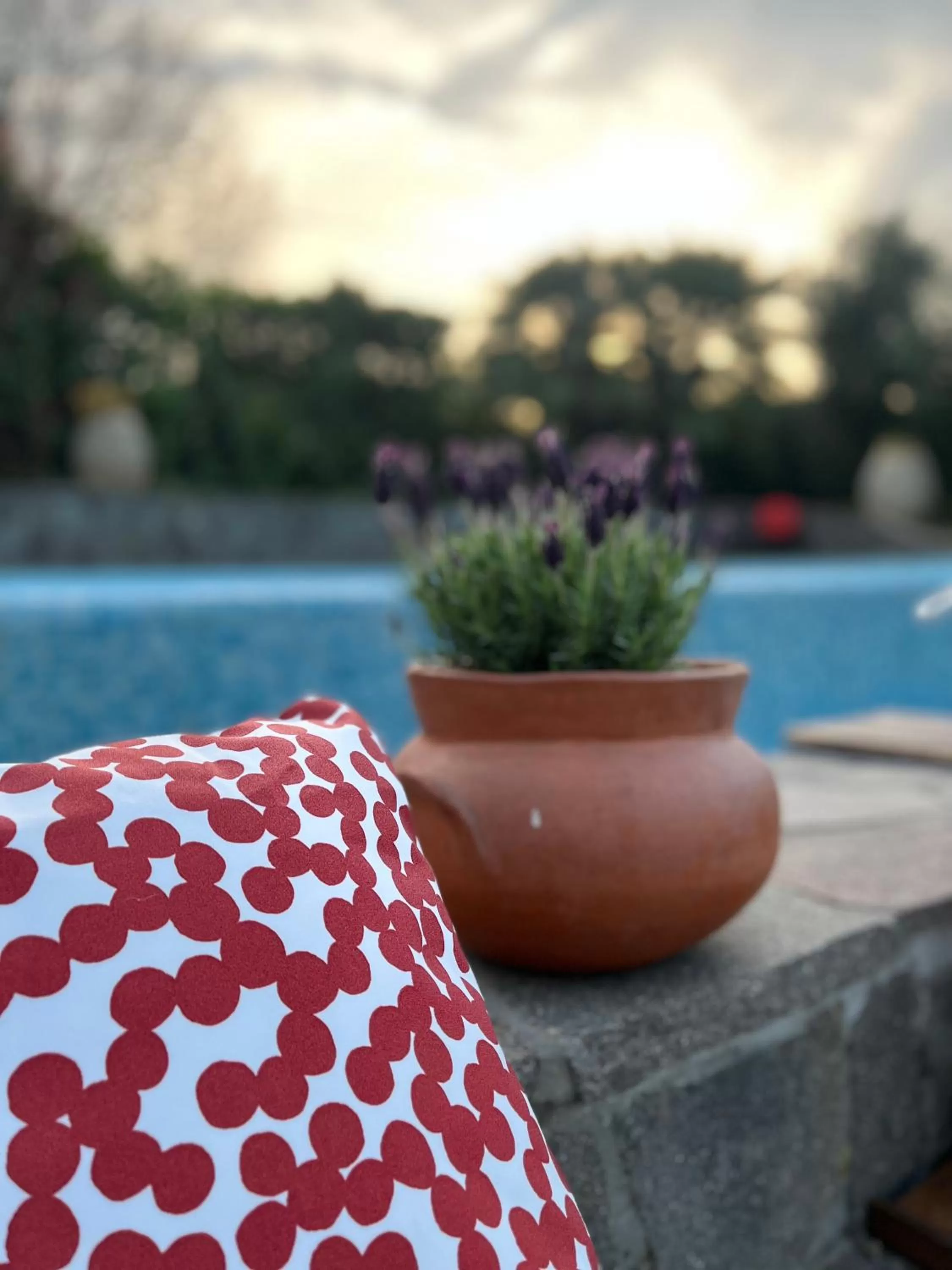 Swimming pool in Casa del Pino