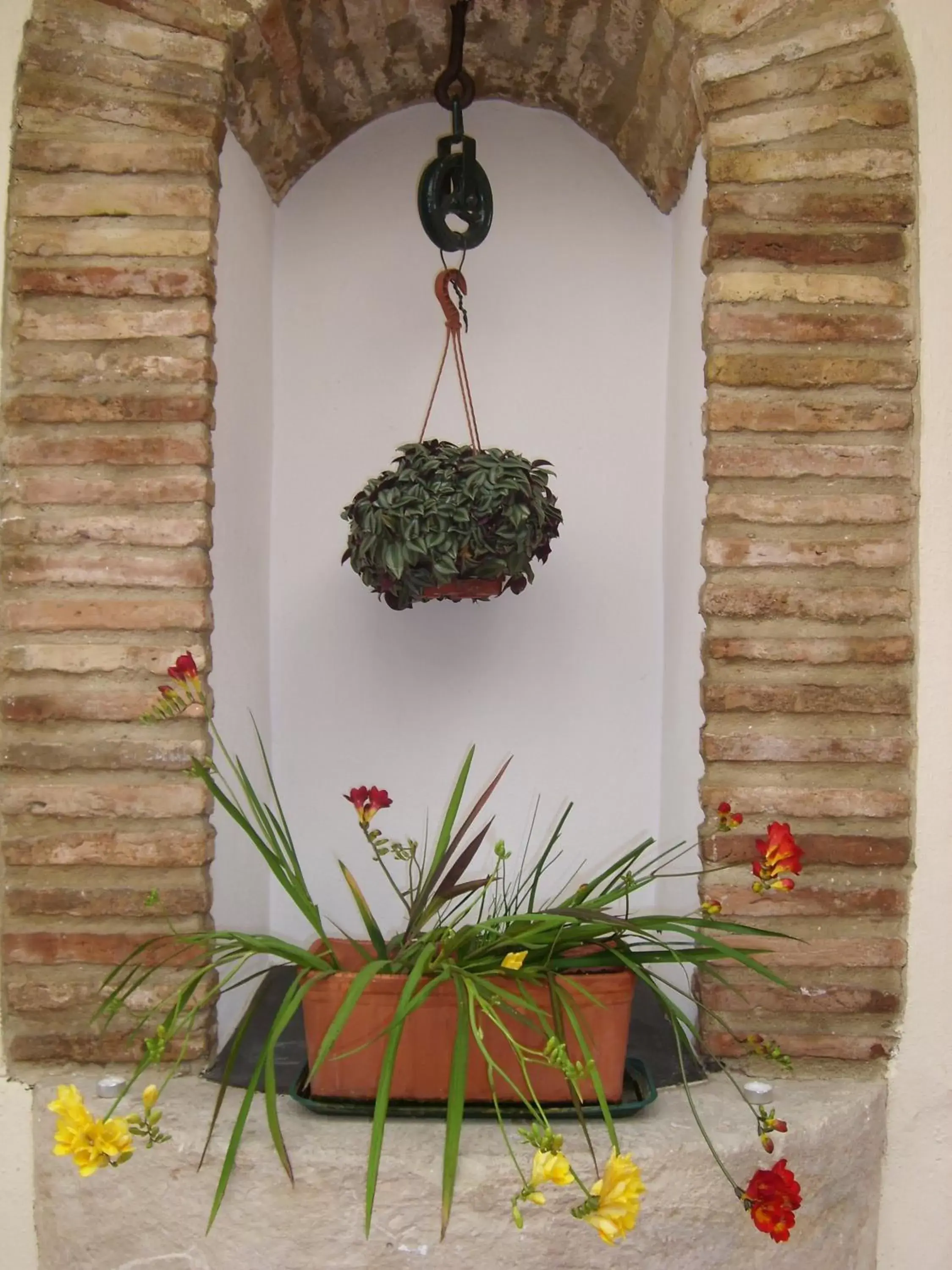 Restaurant/places to eat in Hotel Plateros Restaurant/places to eat in Hotel Plateros