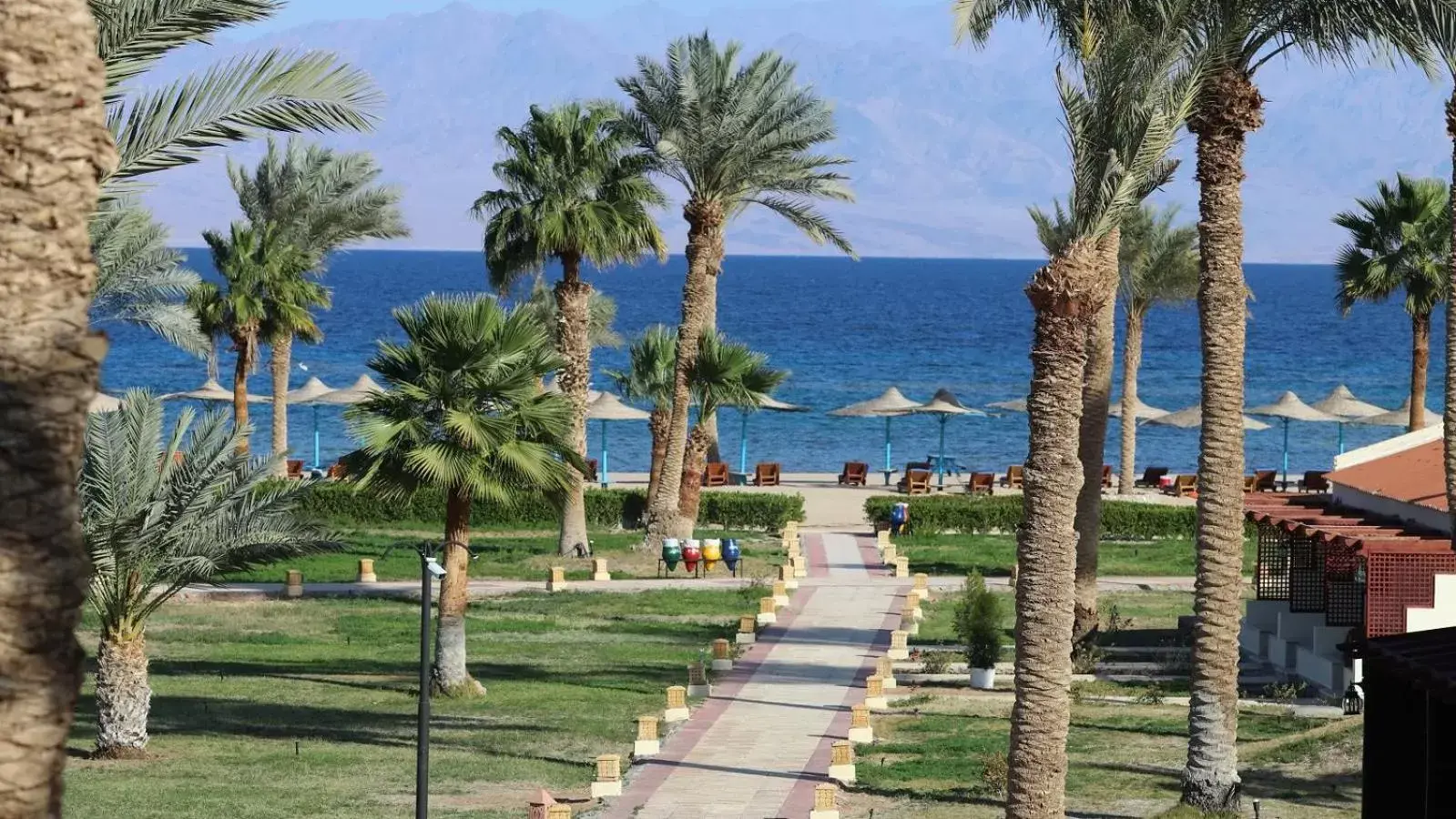 Garden in Nuweiba Club Resort