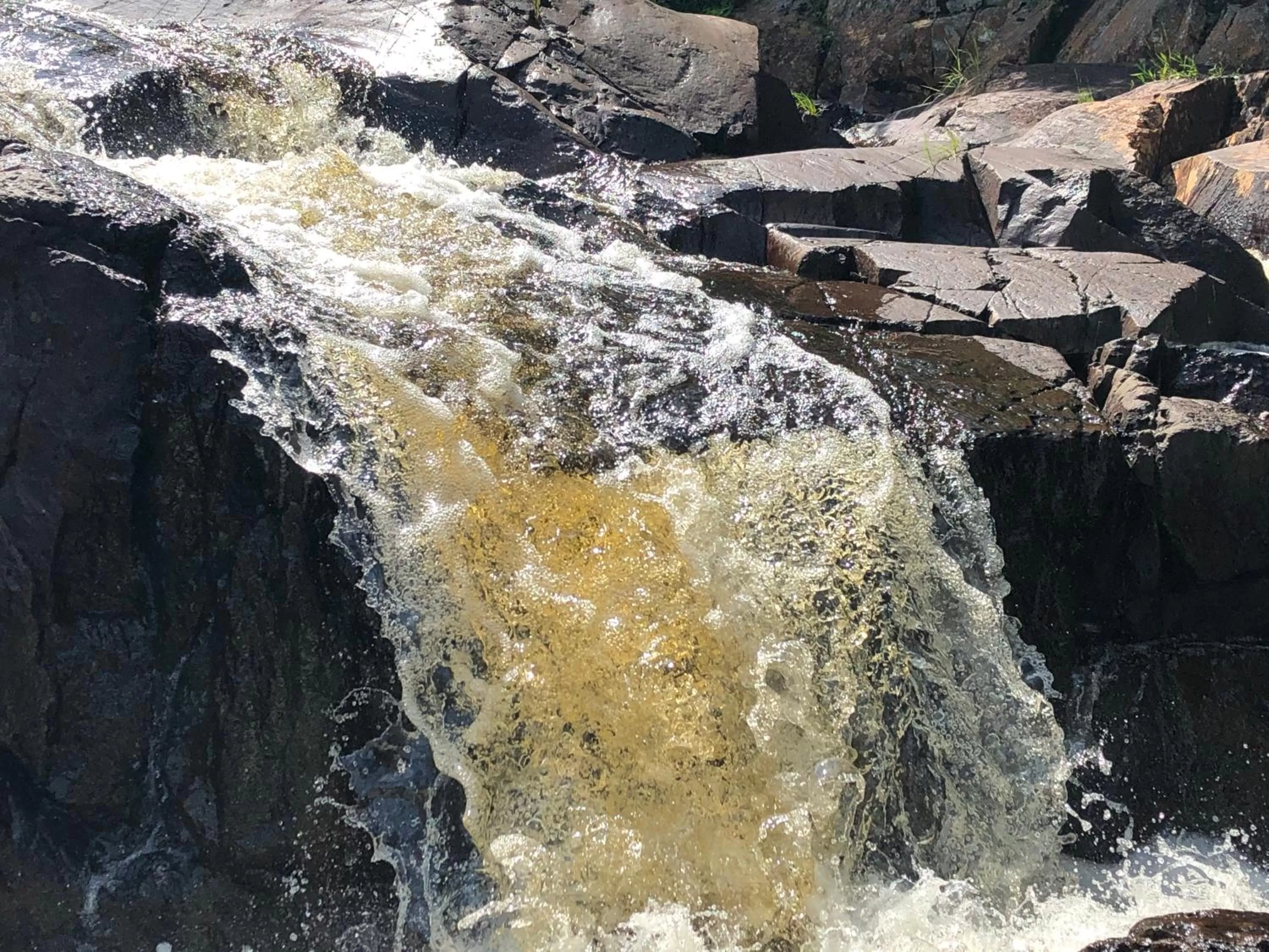 Winter in Bumblebee Bight Inn