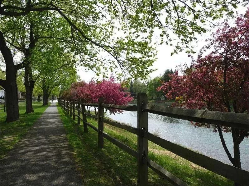 View (from property/room) in Victorian Loft Bed and Breakfast