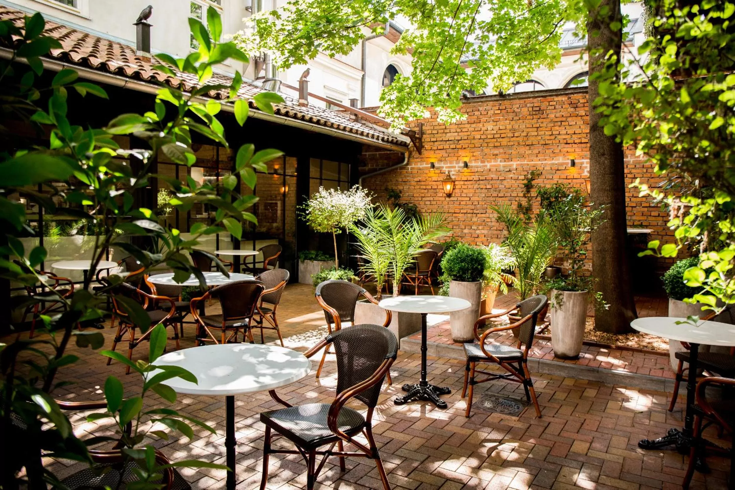 Patio in Balthazar Design Hotel