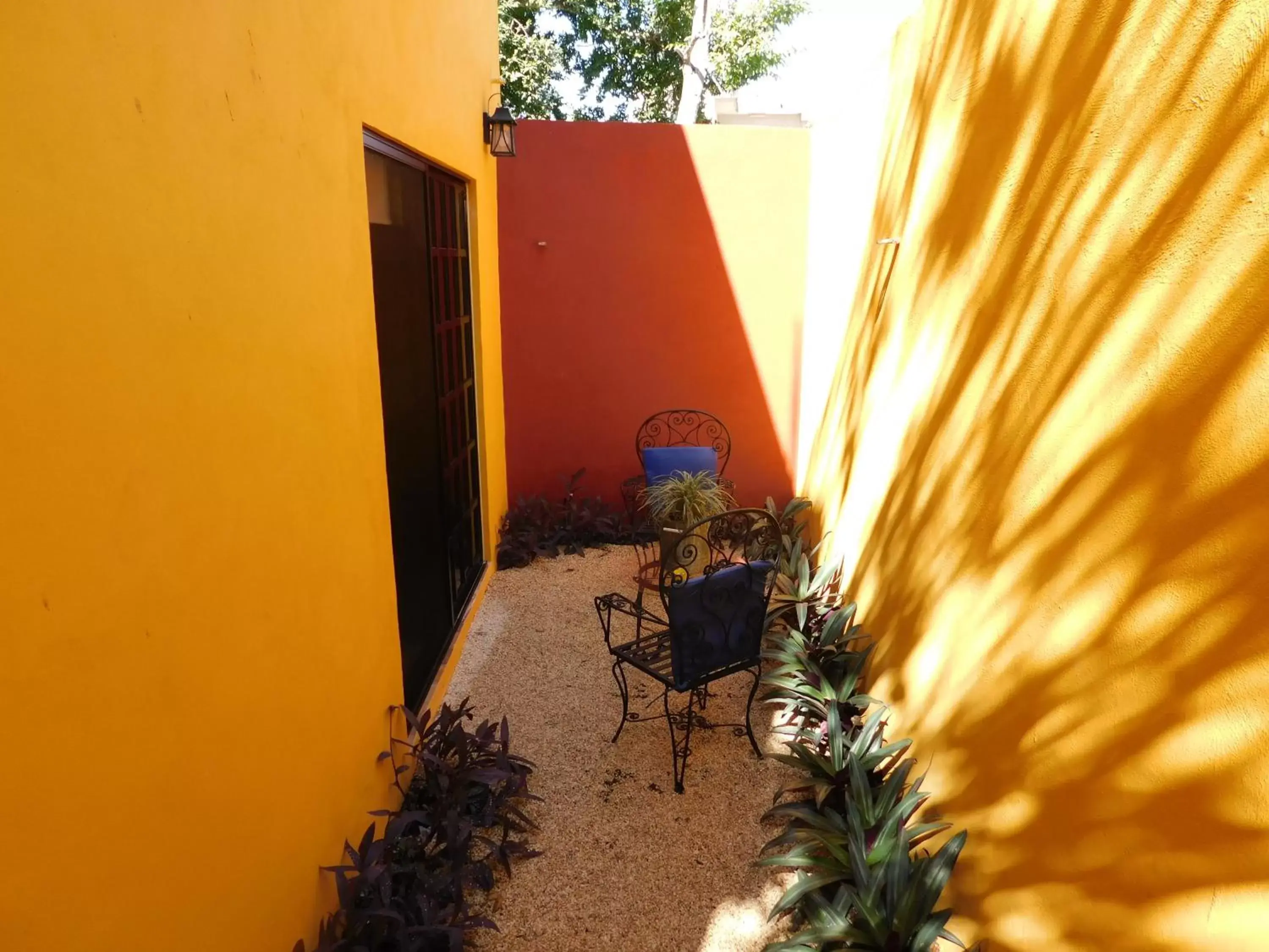 Balcony/Terrace in Hotel Boutique Casa Flor de Mayo