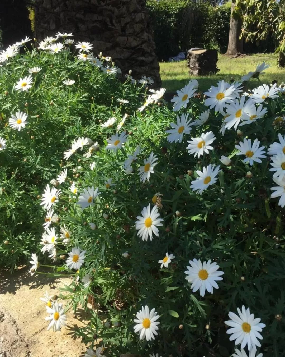 B&B Casa Maria Vittoria