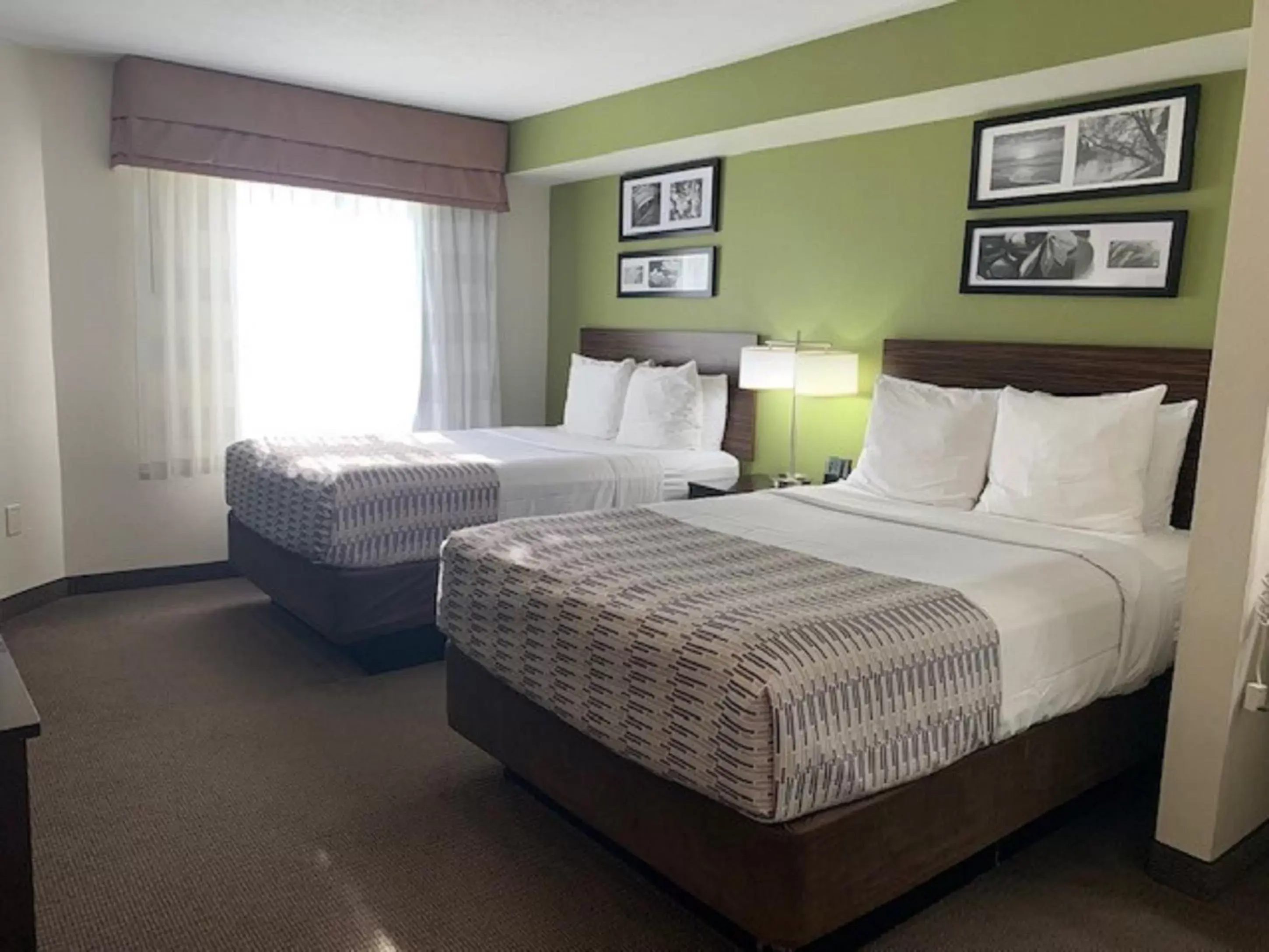 Bed in Surestay Plus Hotel by Best Western Superstition Springs