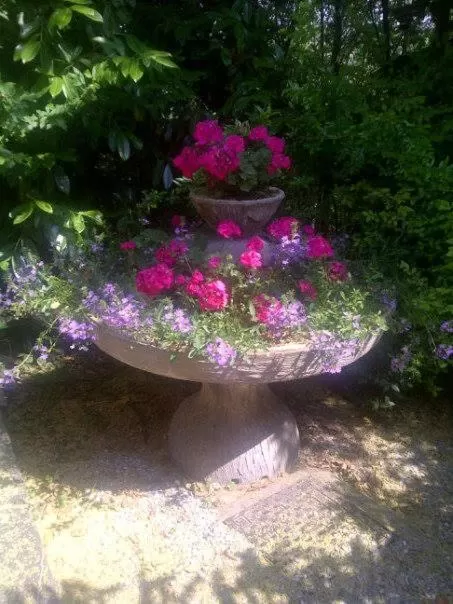 Garden in Le Querce Hotel