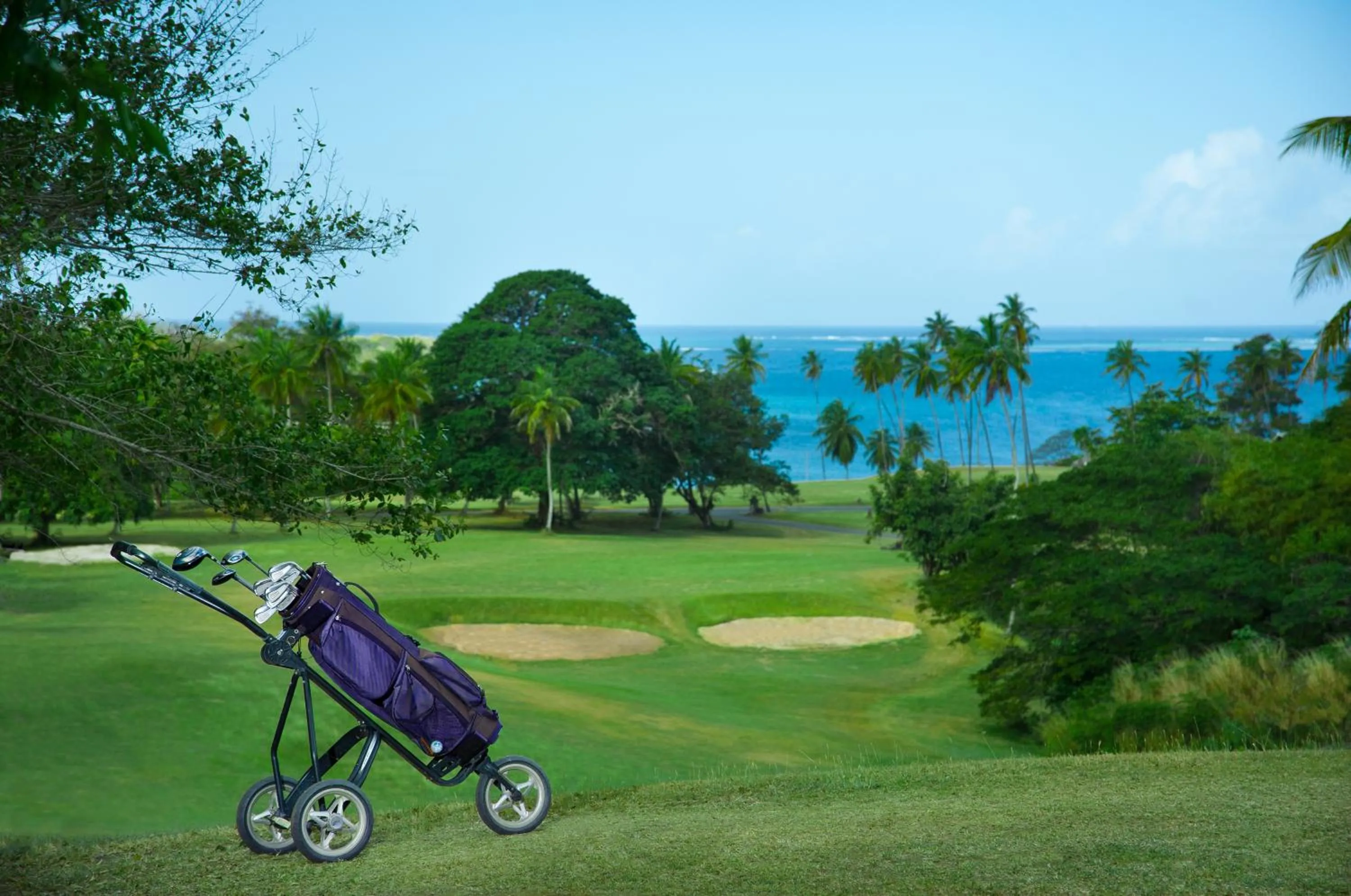 Golfcourse in Mount Irvine Bay Resort