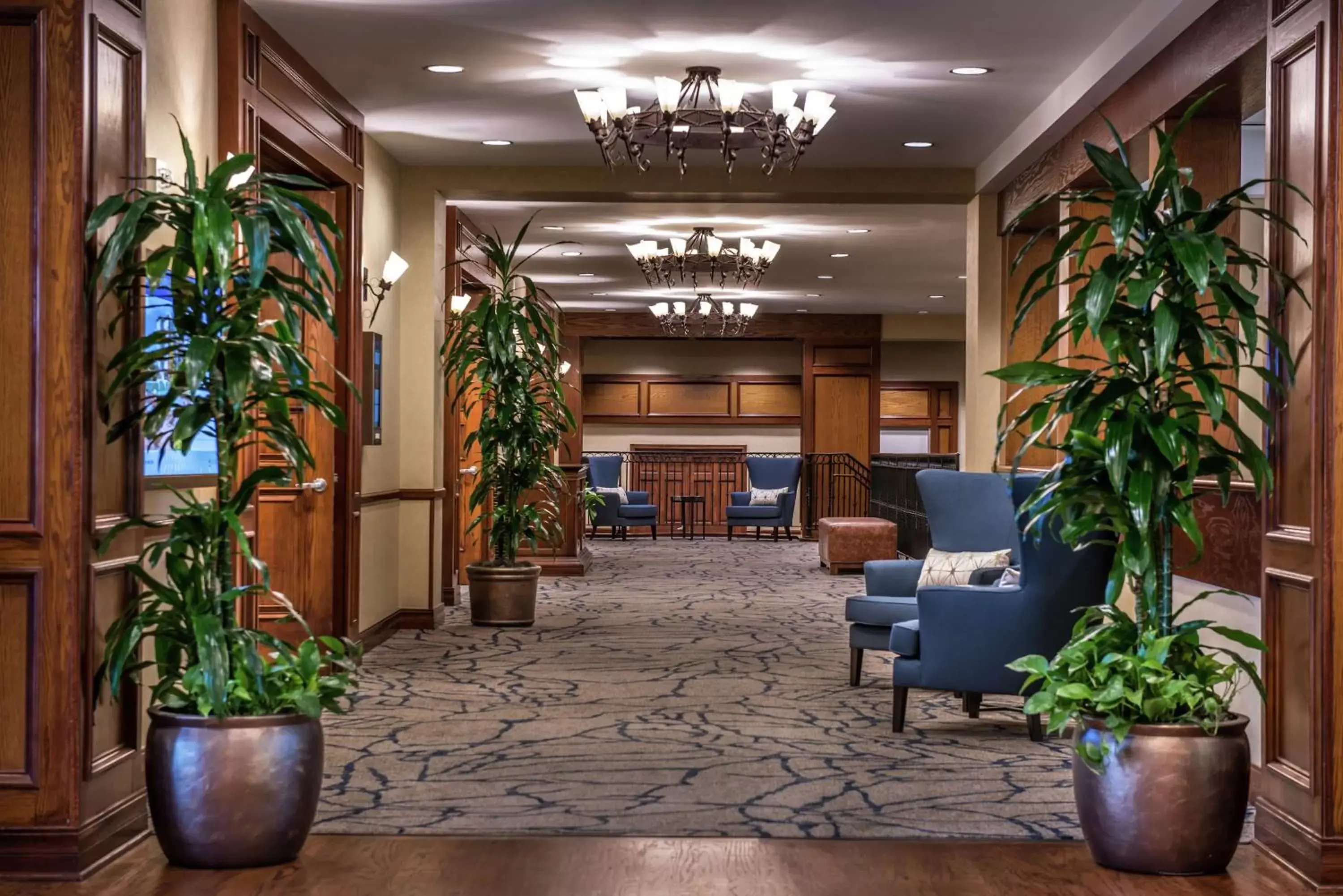 Meeting/conference room, Lobby/Reception in Hilton San Antonio Hill Country