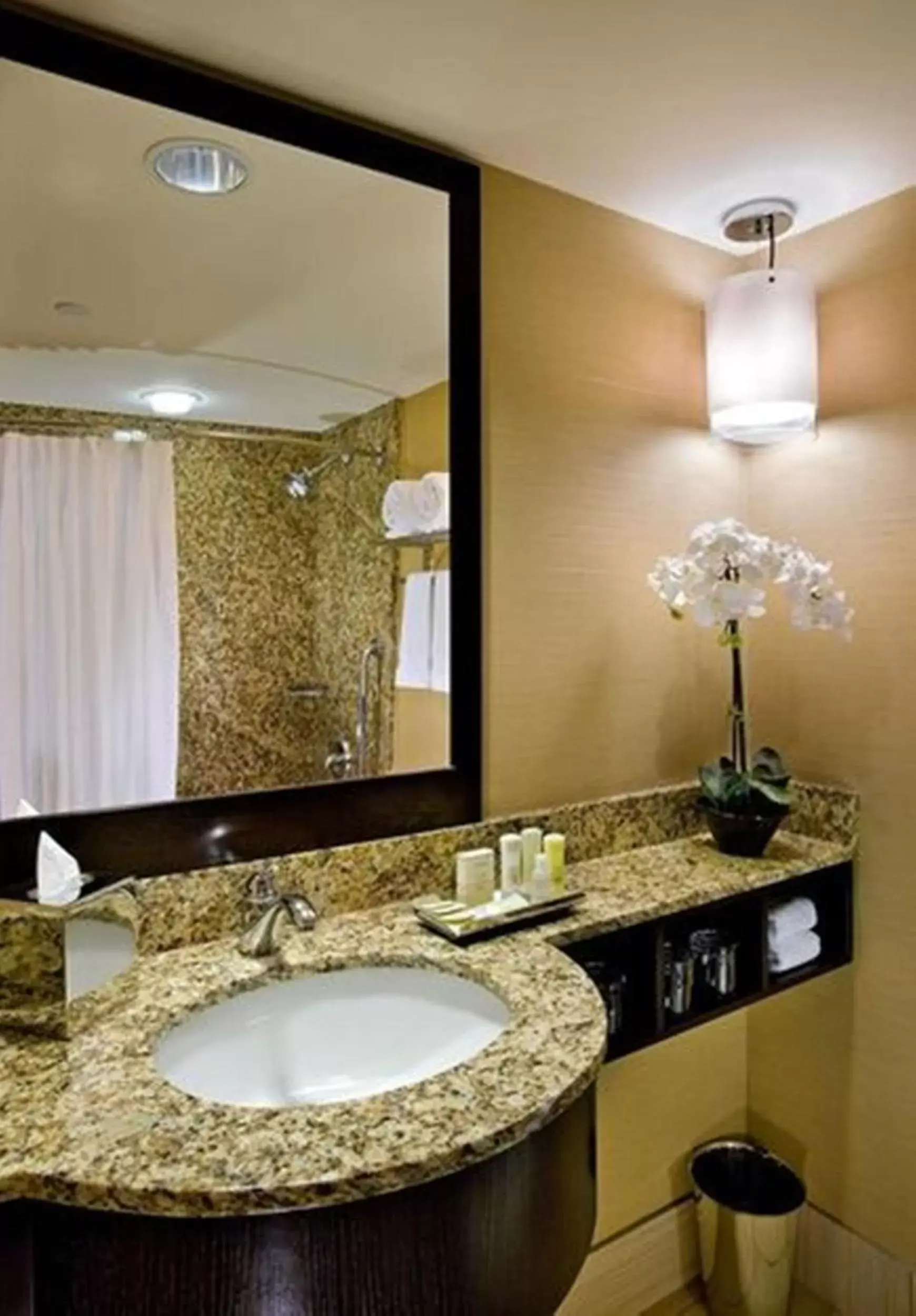 Bathroom in Crowne Plaza Chicago O'Hare Hotel & Conference Center, an IHG Hotel