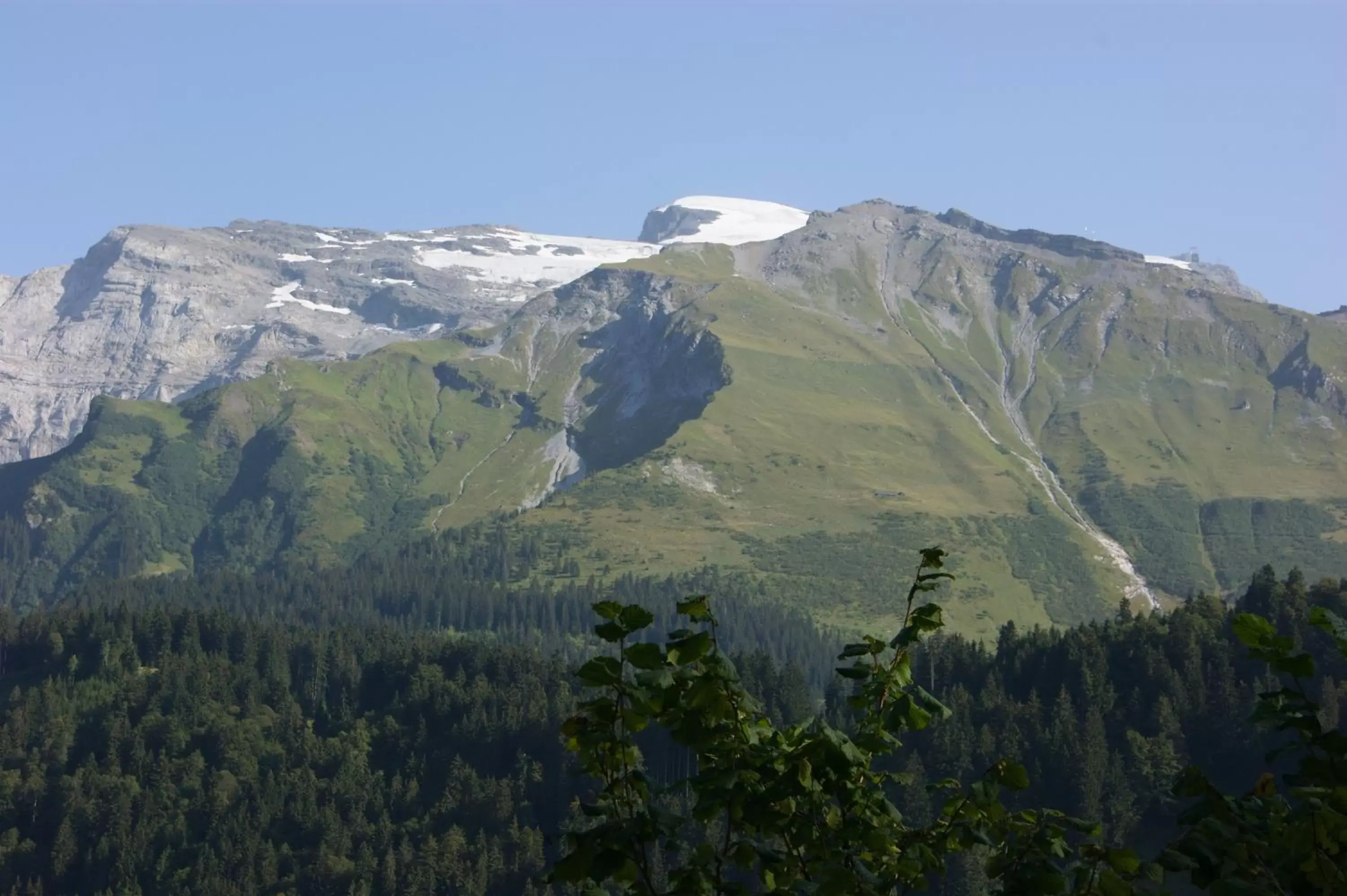 View (from property/room), Natural Landscape in Hotel Schweizerhof