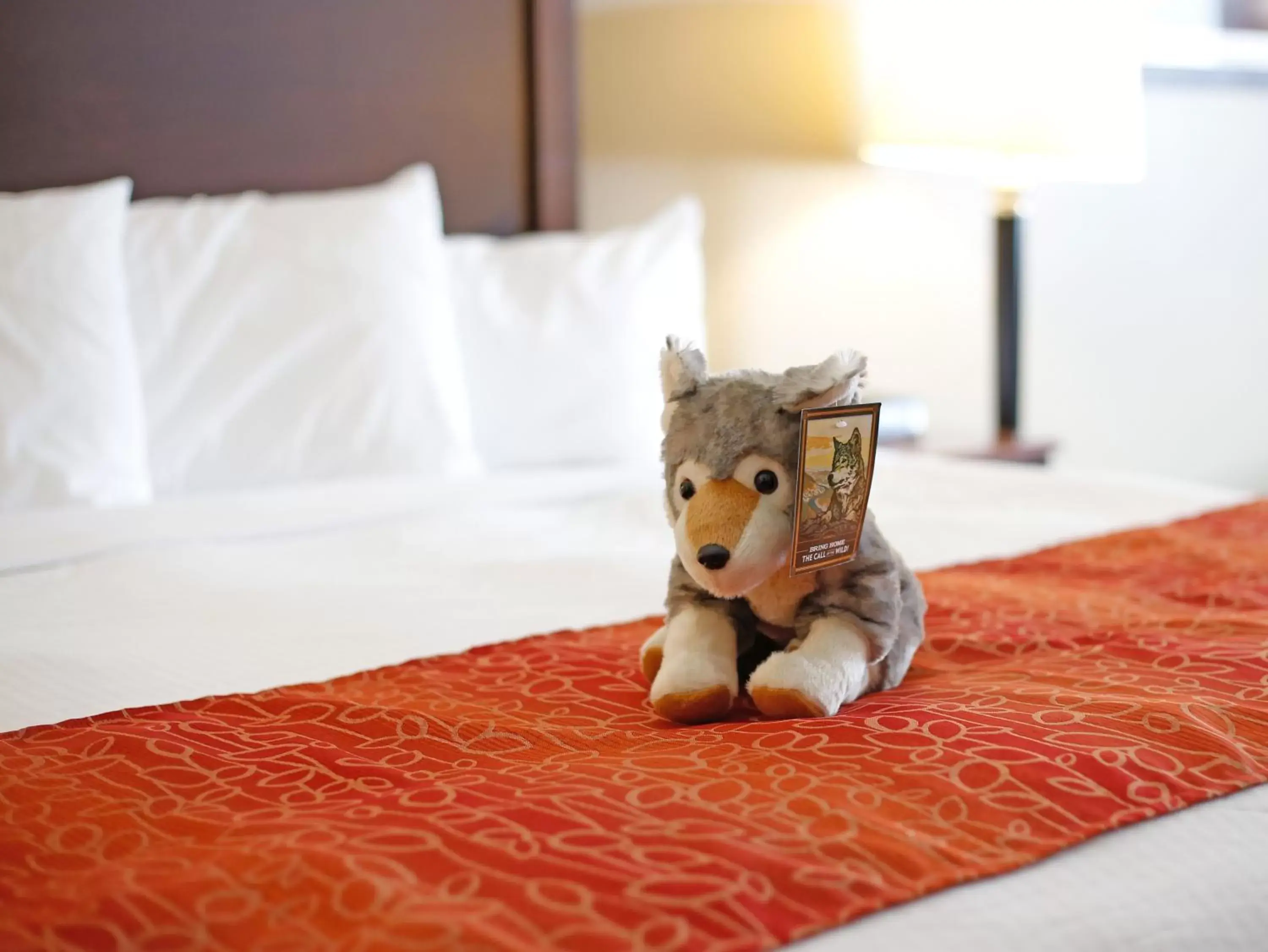 Bed in Gray Wolf Inn & Suites Bed in Gray Wolf Inn & Suites