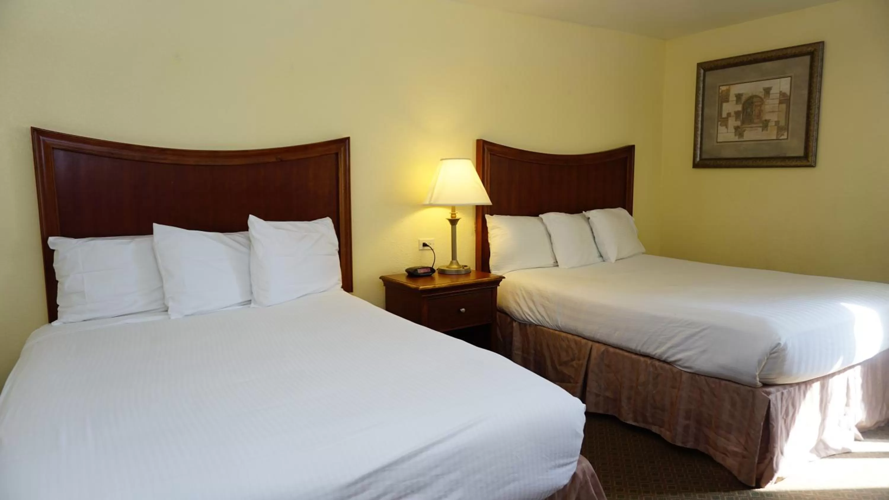 Photo of the whole room, Bed in Baymont by Wyndham Arlington At Six Flags Dr