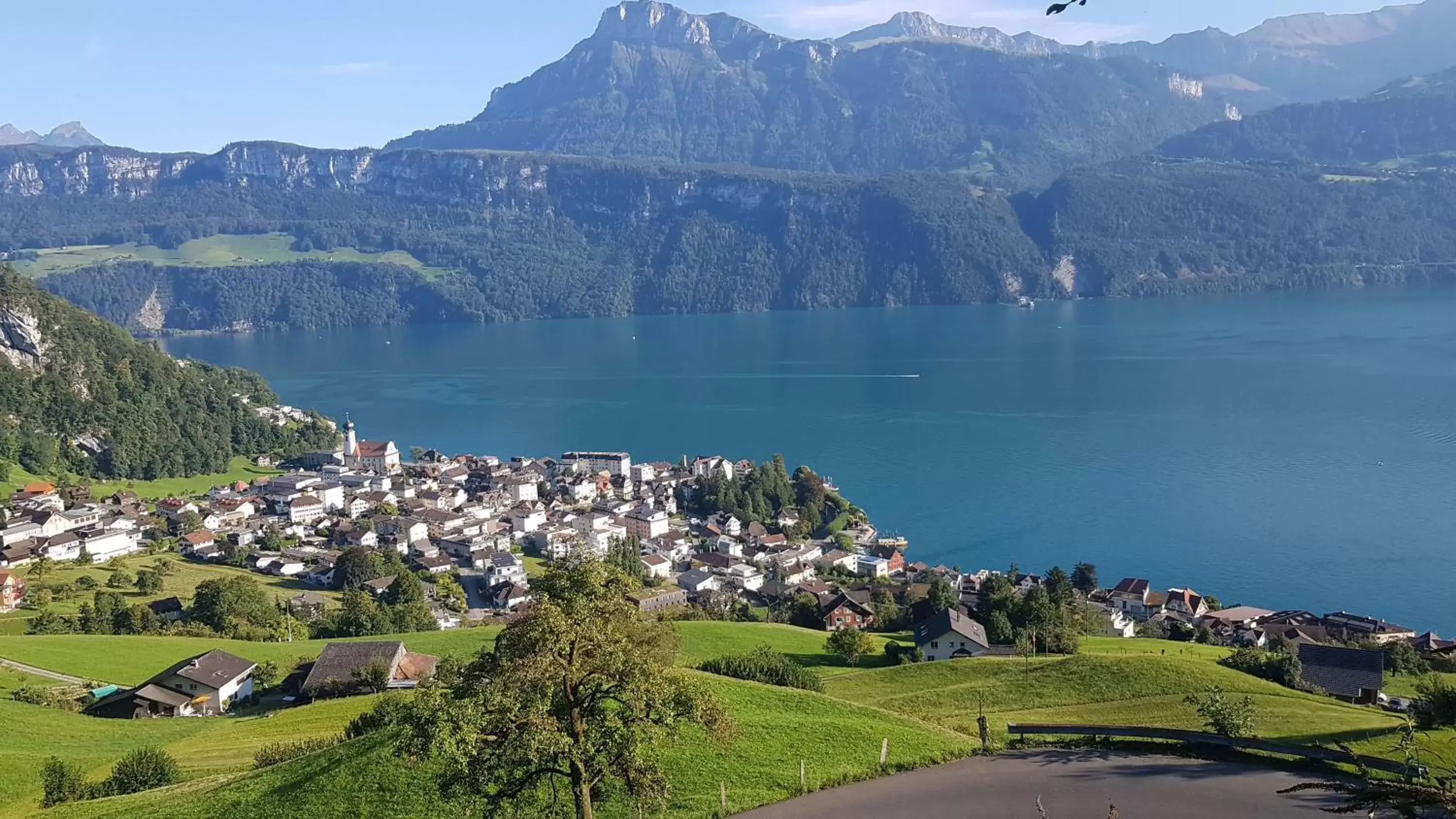 Neighbourhood, Bird's-eye View in Gasthaus Platten