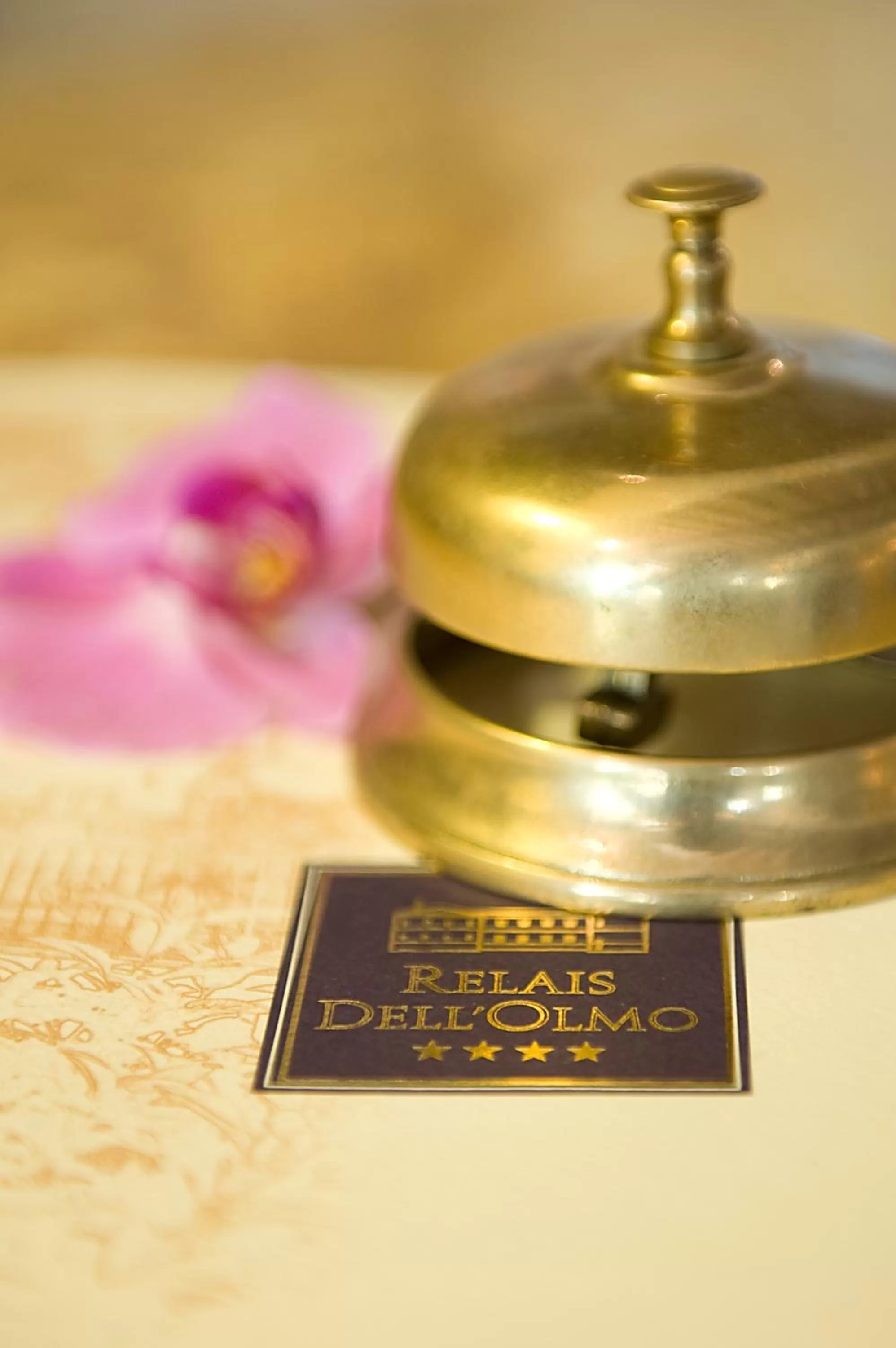 Lobby or reception in Relais dell'Olmo