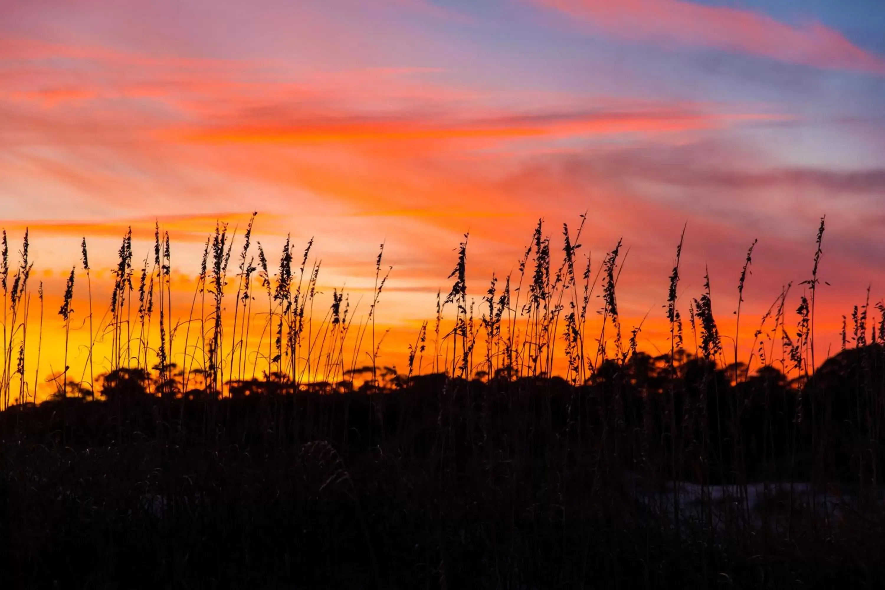 Natural landscape, Sunrise/Sunset in Days Inn & Suites by Wyndham Jekyll Island