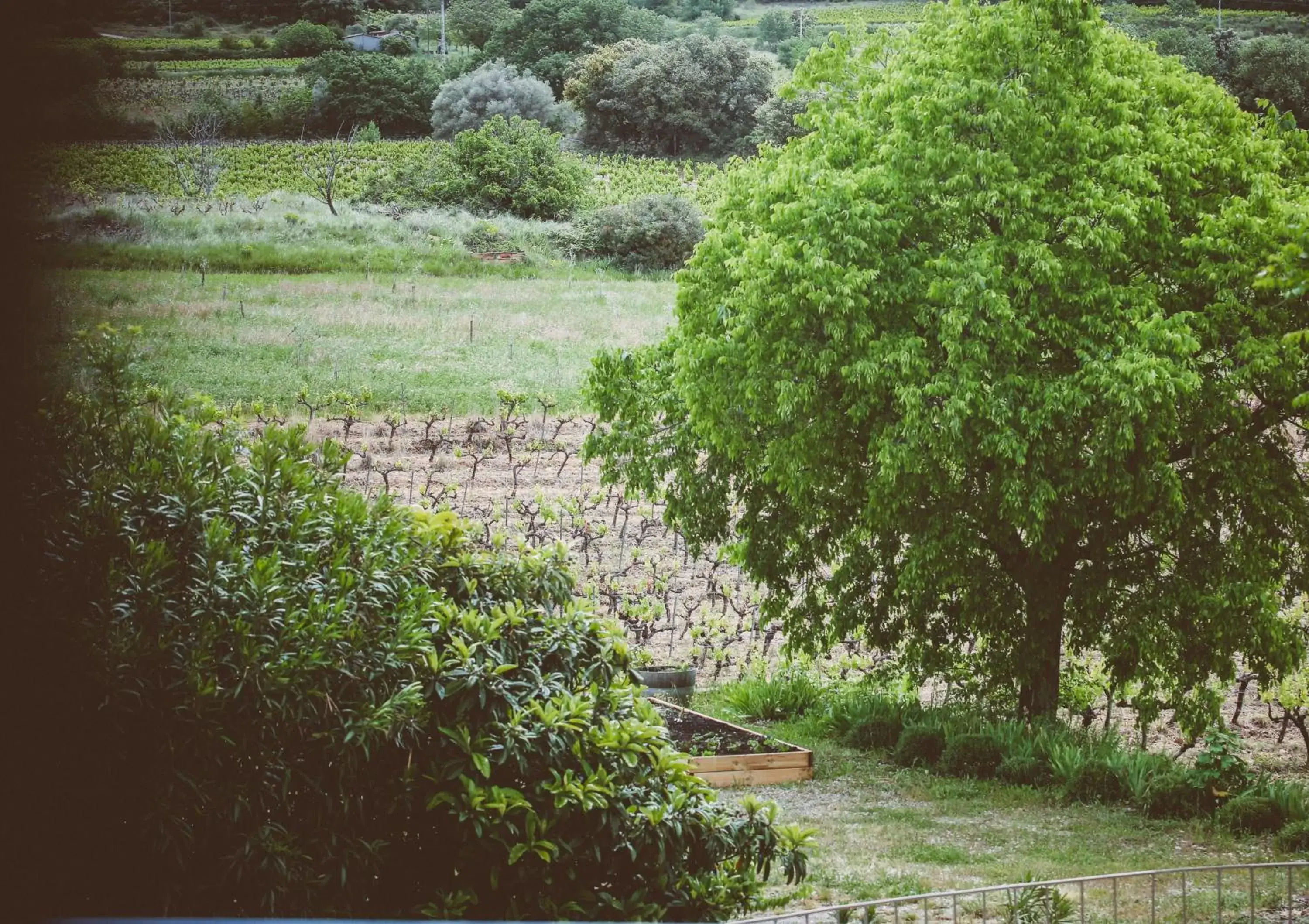 View (from property/room), Garden in Domaine de Salente