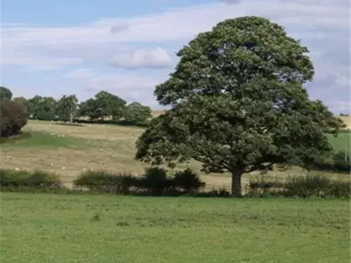 Property building in Dove Meadow