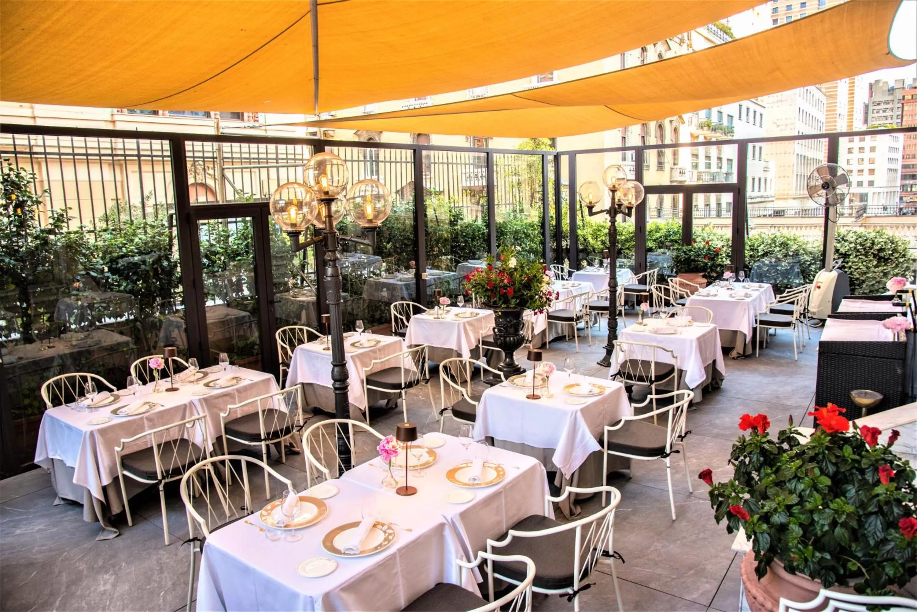 Garden view in Hotel Bristol Palace