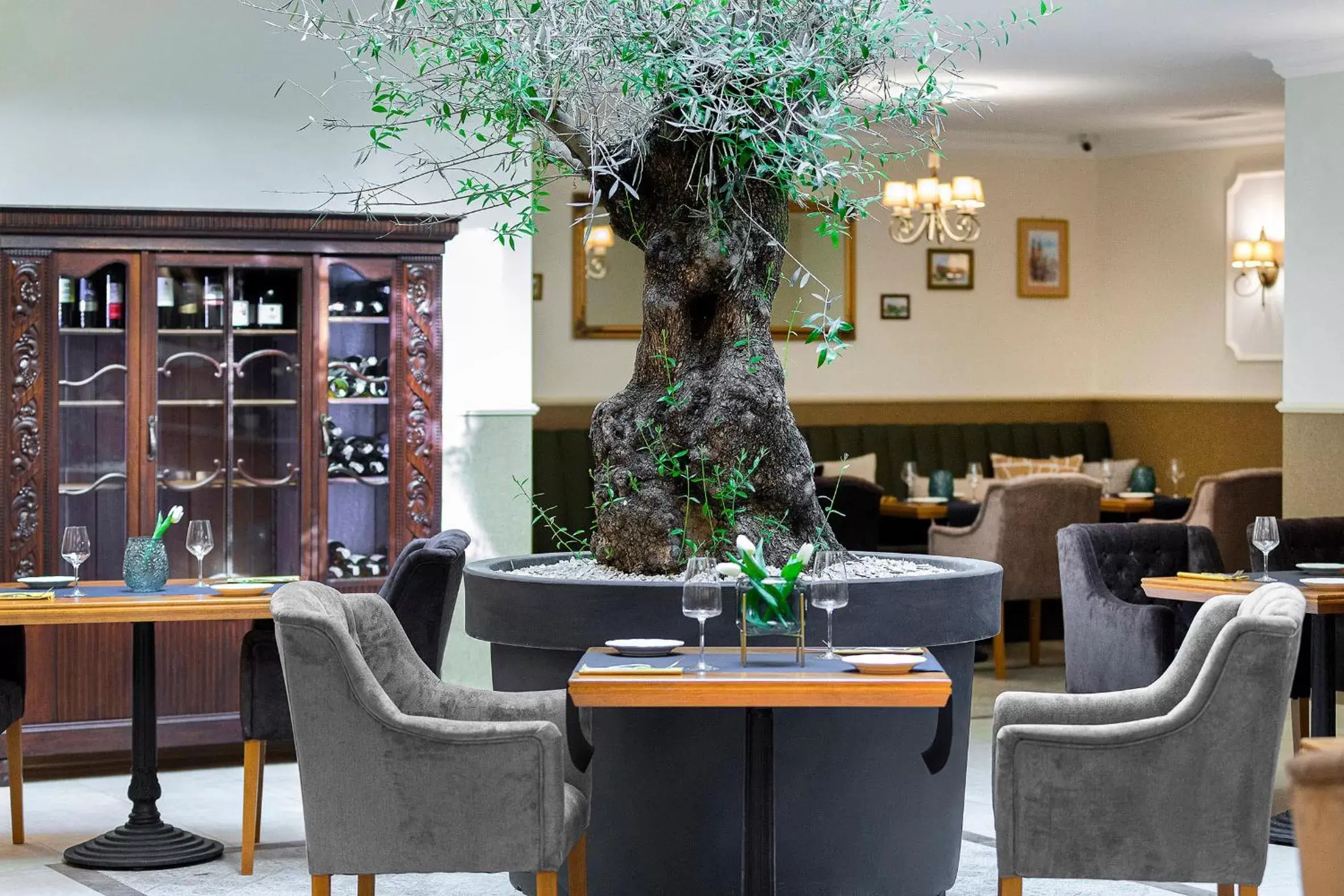 Restaurant/places to eat in Ventus Rosa Boutique Aparthotel Restaurant/places to eat in Ventus Rosa Boutique Aparthotel