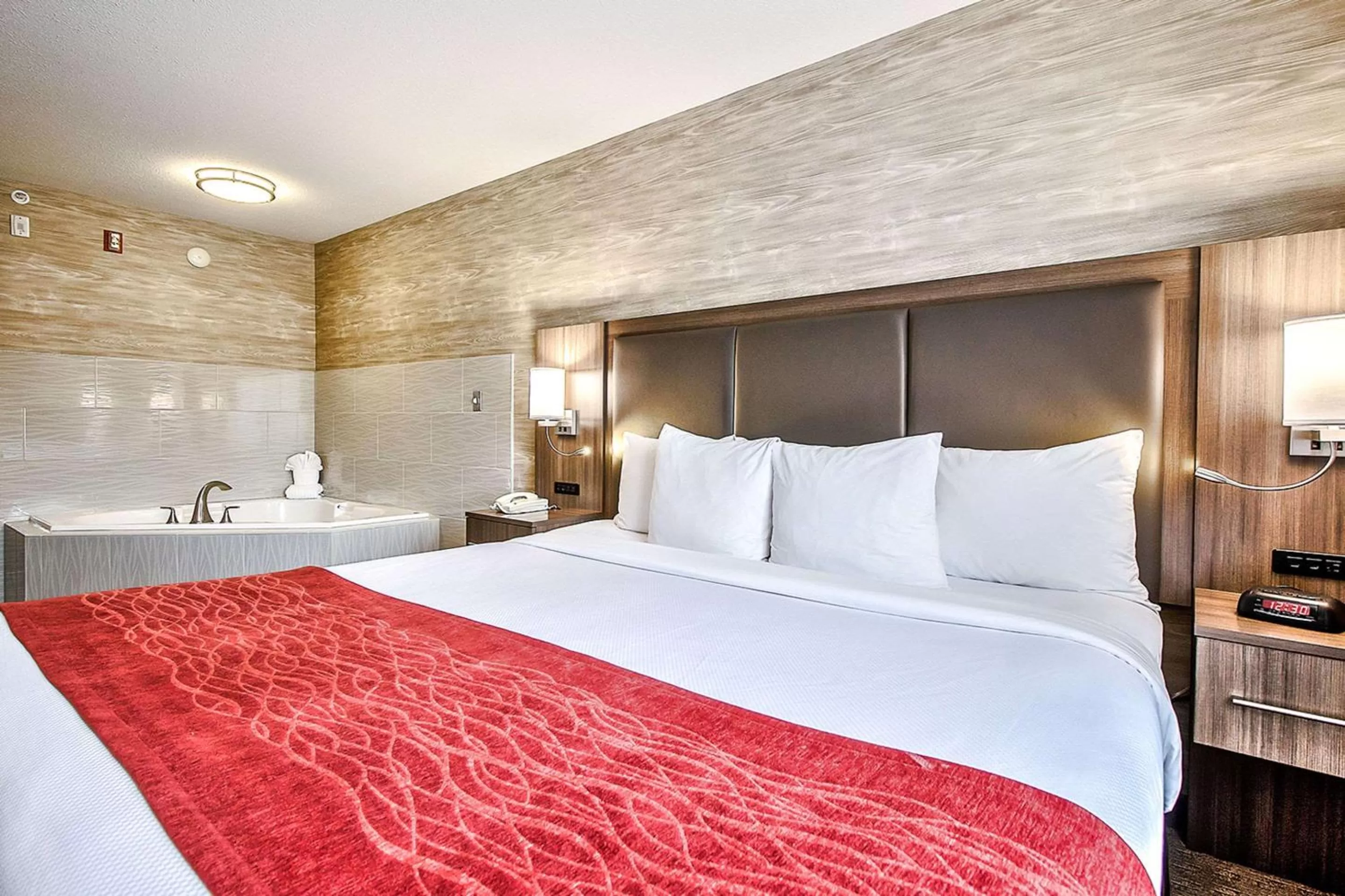 Photo of the whole room, Bed in Comfort Inn & Suites South