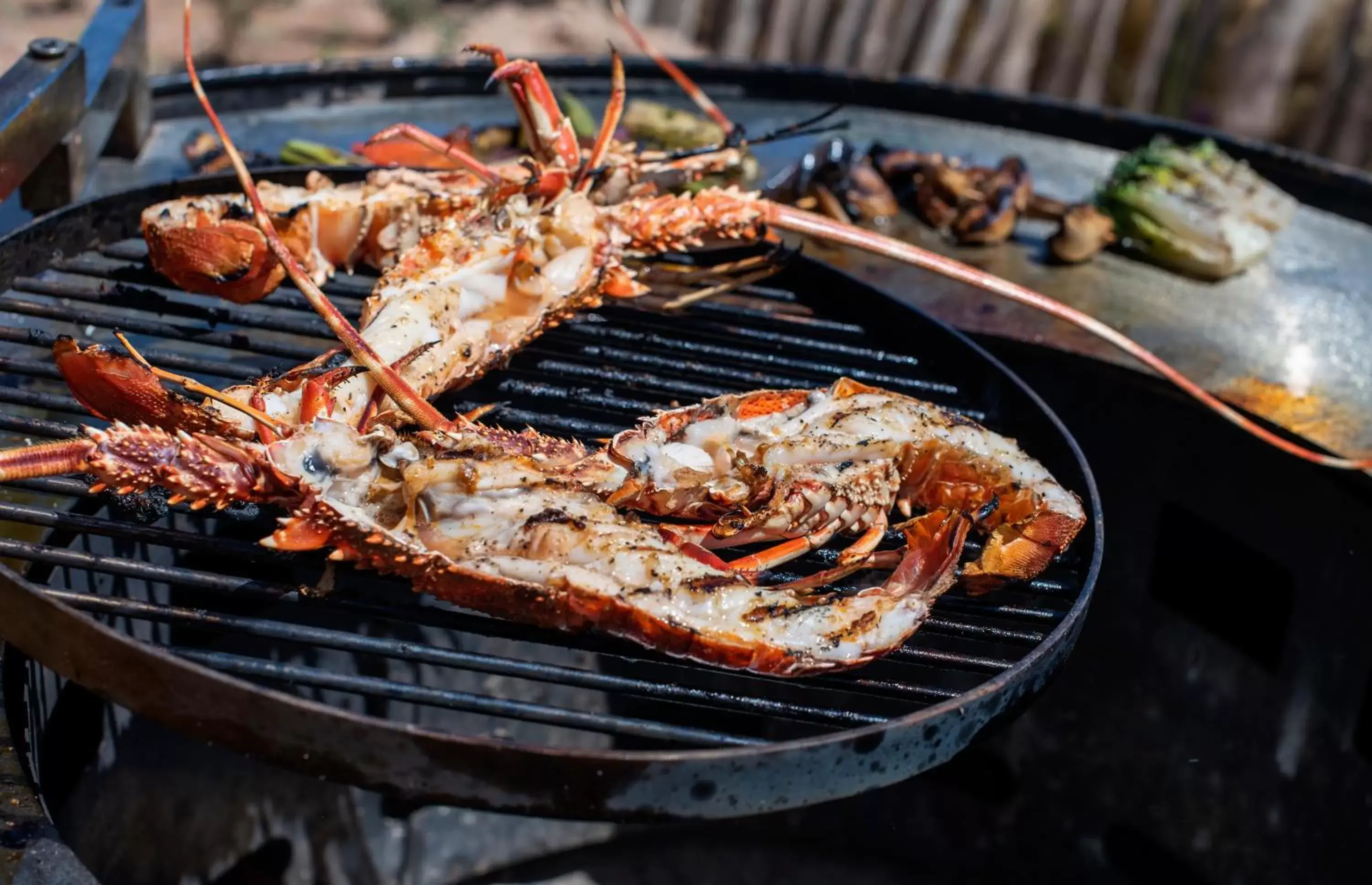 Food and drinks in Hyatt Regency Taghazout Food and drinks in Hyatt Regency Taghazout