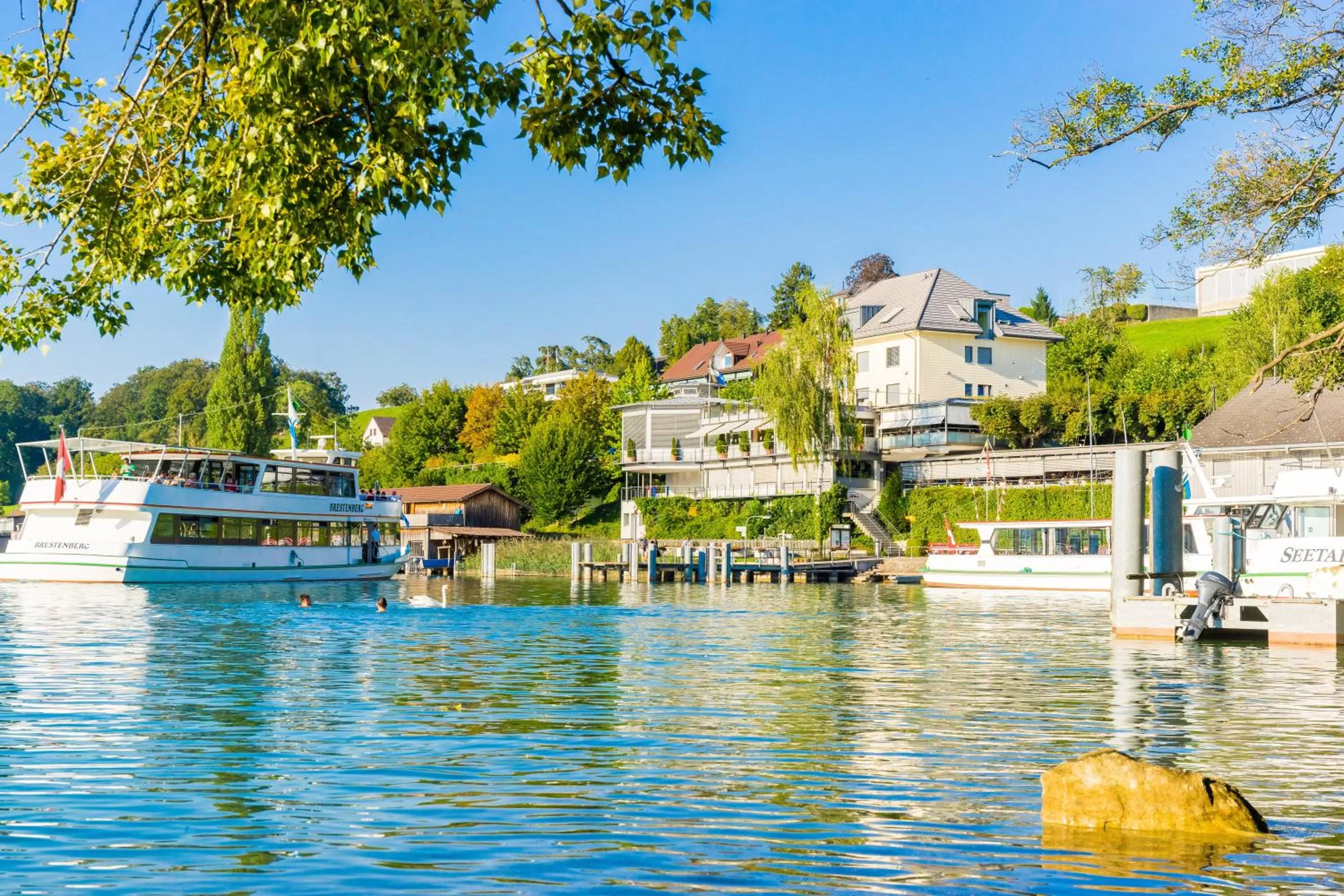 Natural landscape in Seehotel Delphin
