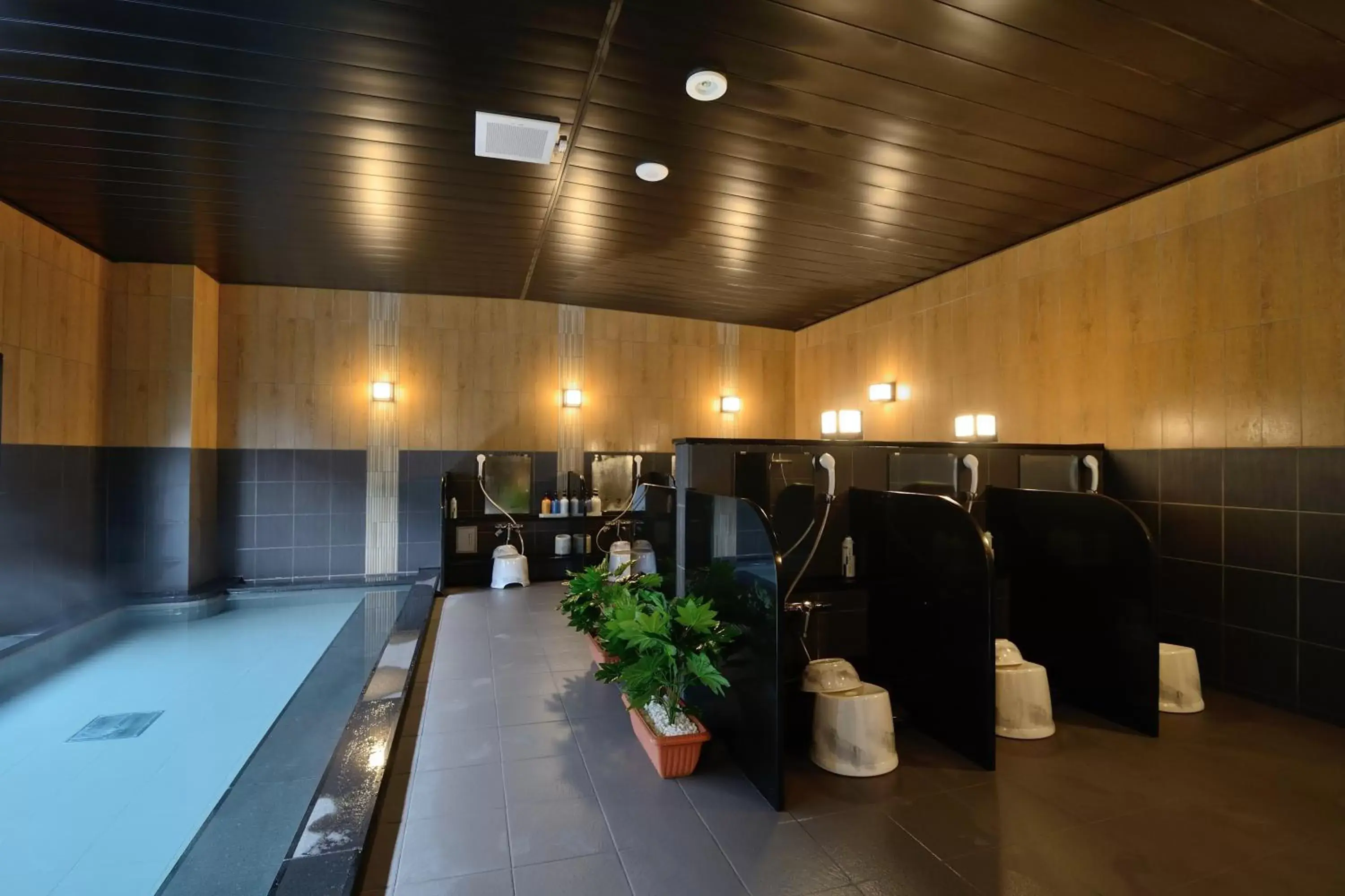 Public Bath, Swimming Pool in Hotel Route-Inn Yanagawa Ekimae