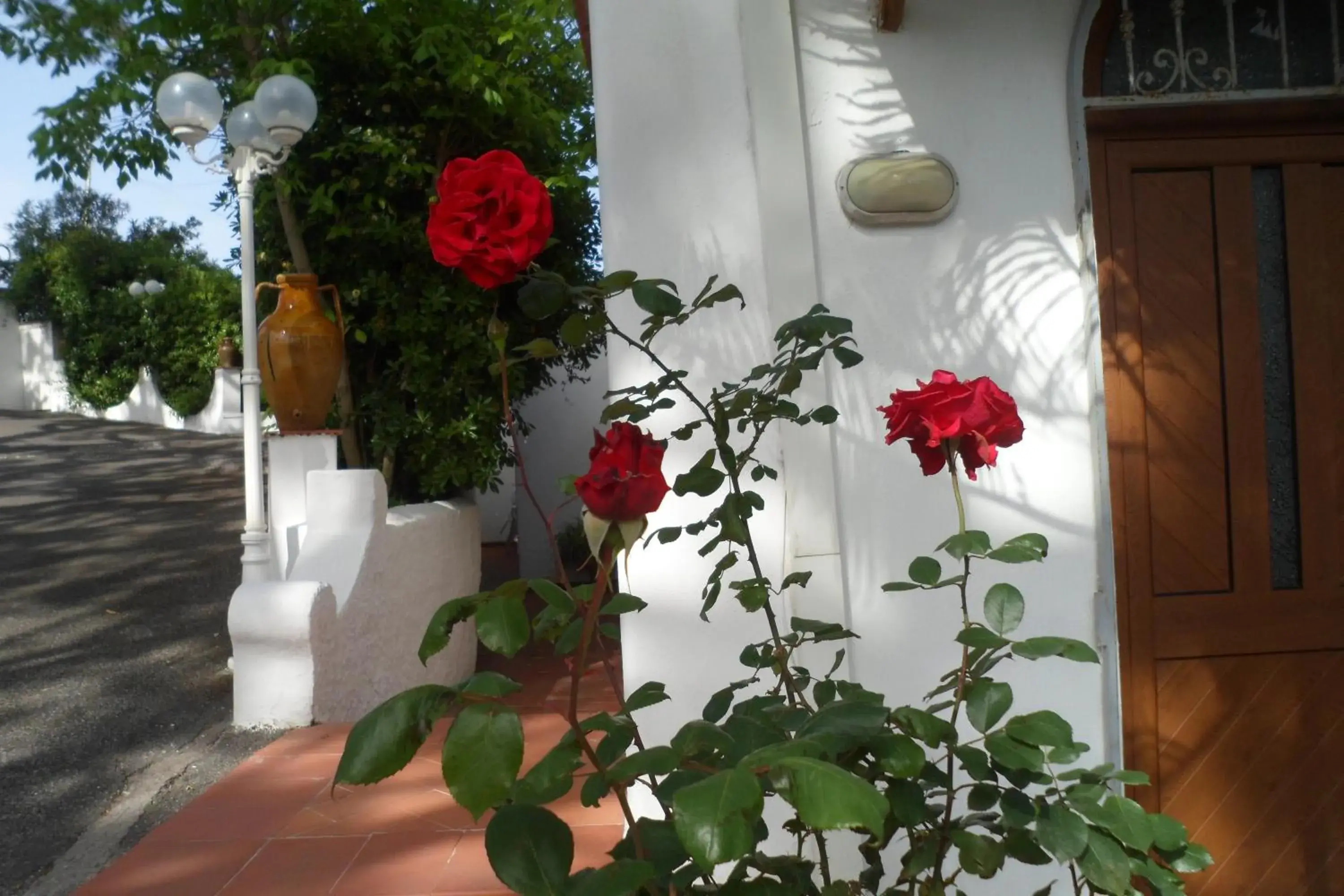 Facade/entrance in Hotel Park Calitto