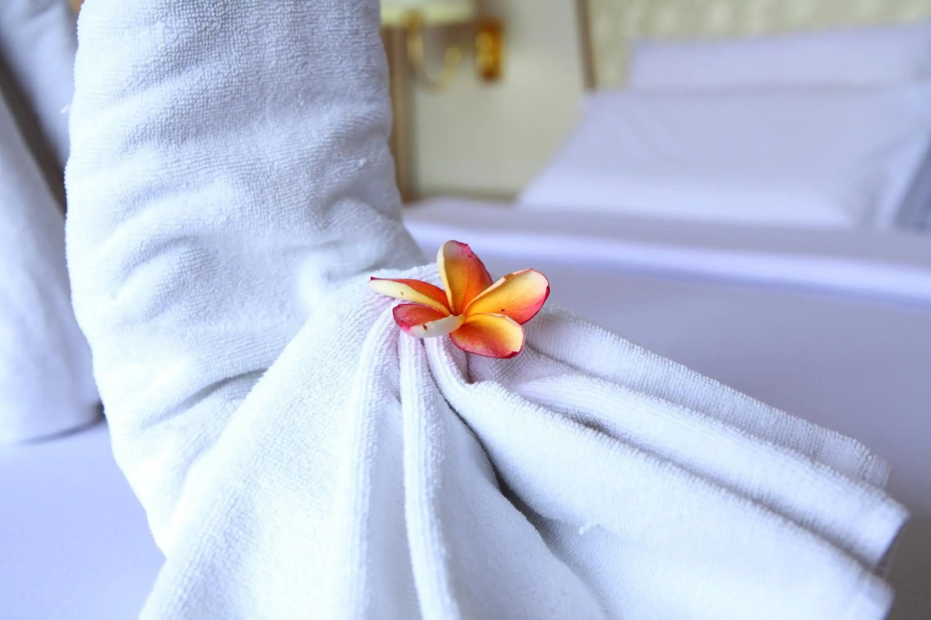 Massage, Bed in Wattana Park Hotel