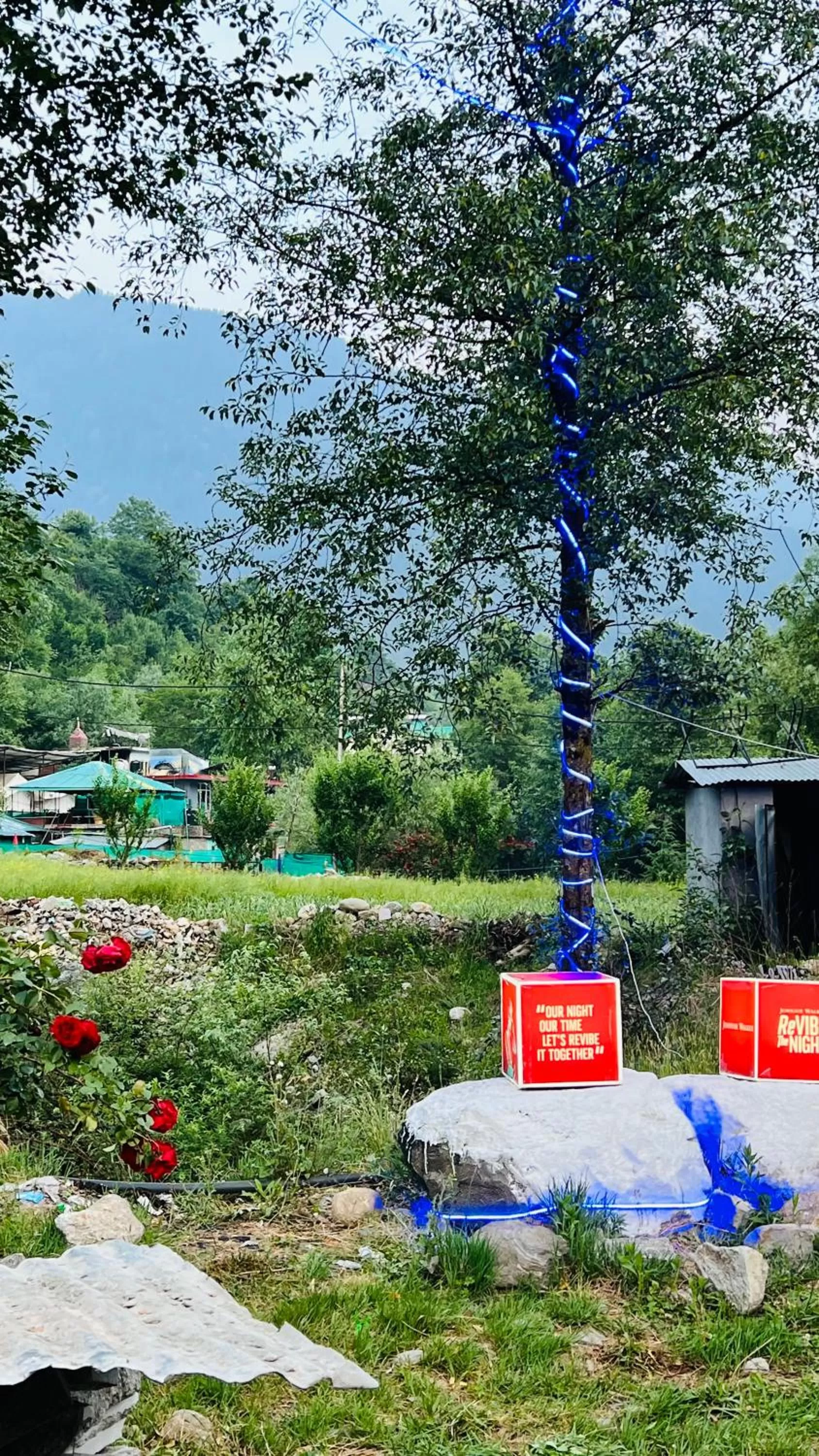 Himalayan Riverside Resort, Manali