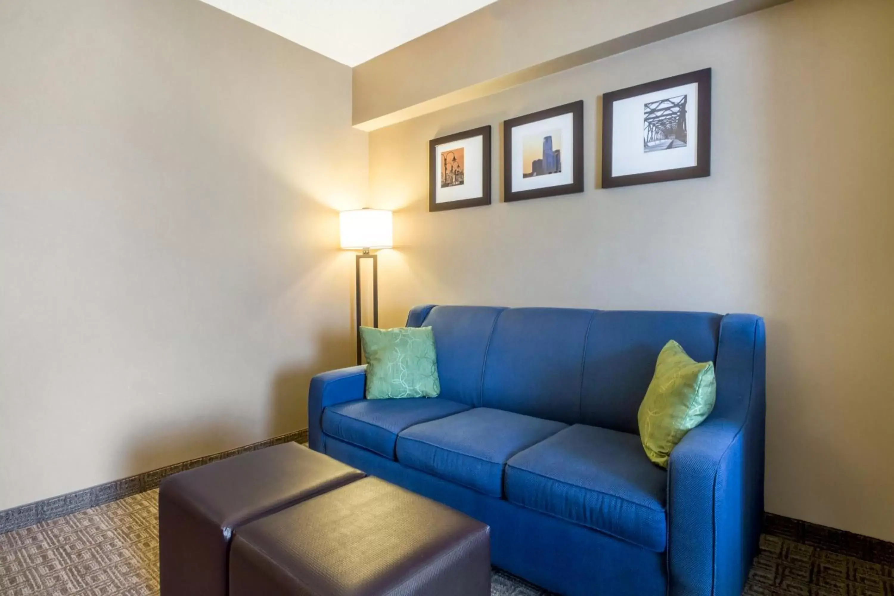 Seating Area in Comfort Suites Avenel