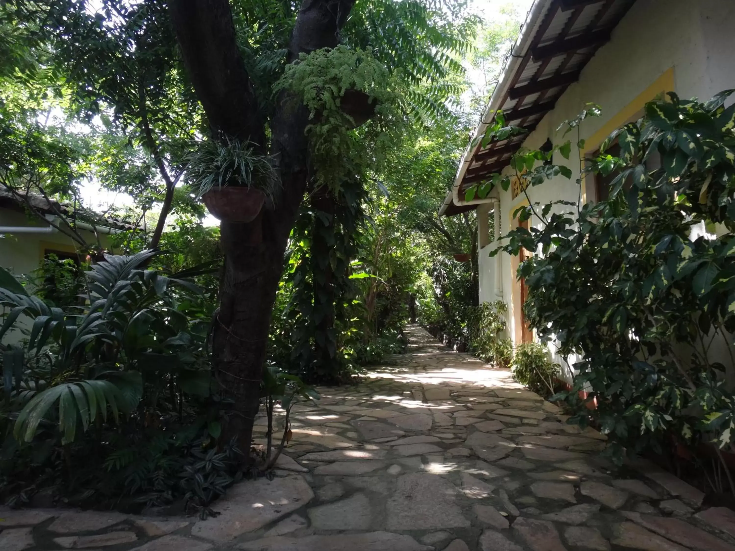 Patio, Garden in Hotel Casa Barcelona