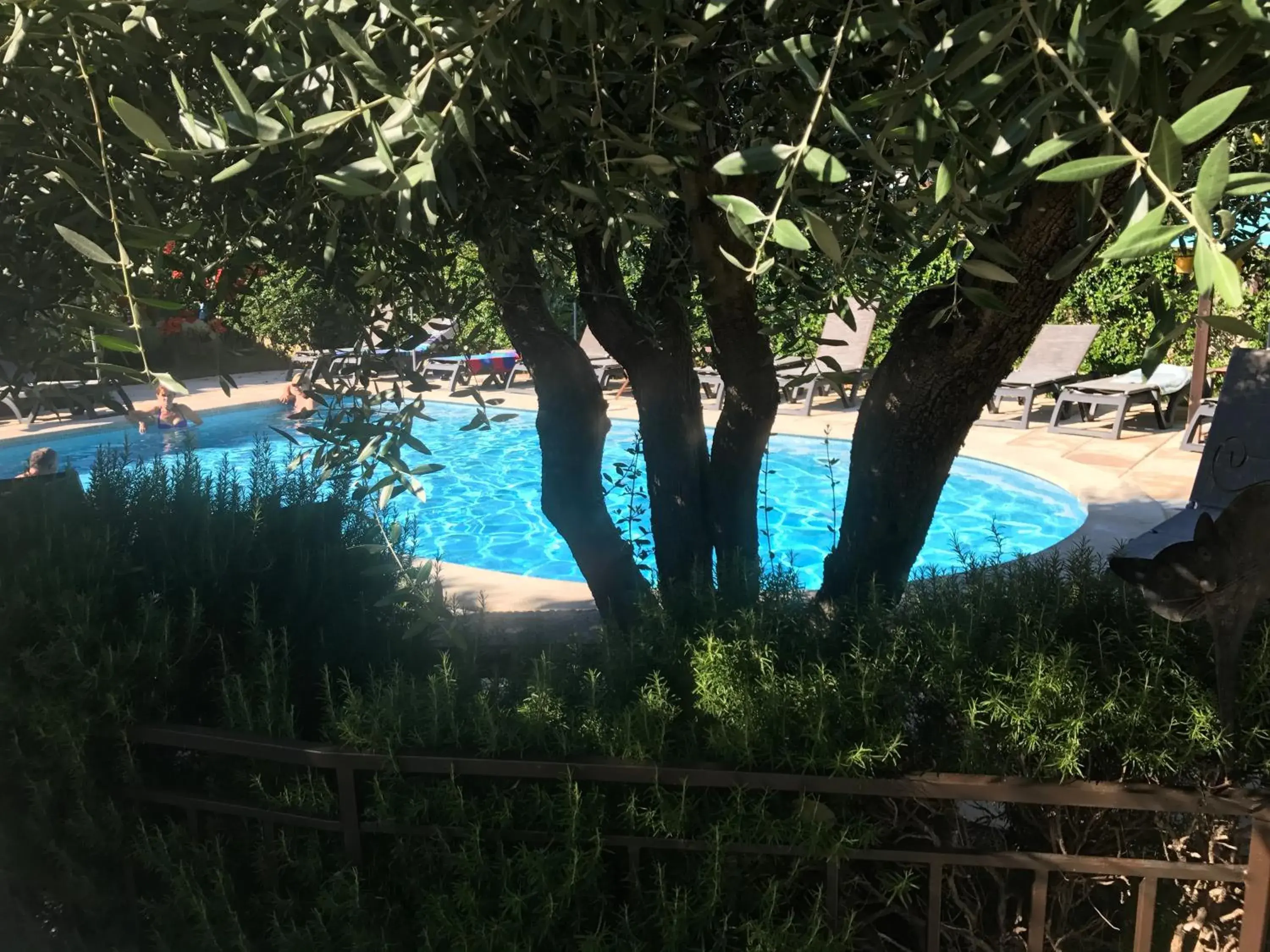 Swimming Pool in Hostellerie De La Tour