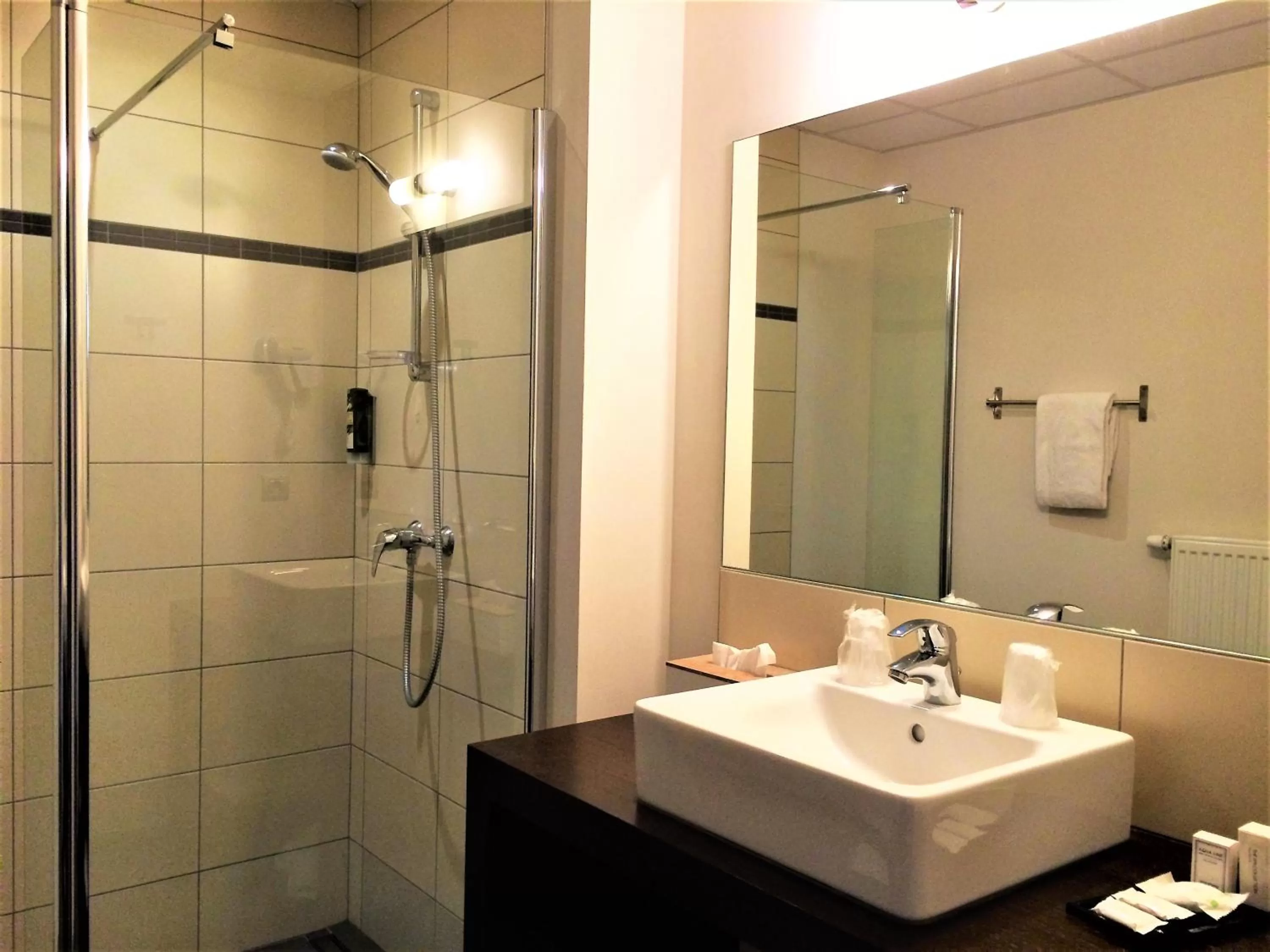 Bathroom in Hotel Saint Daniel