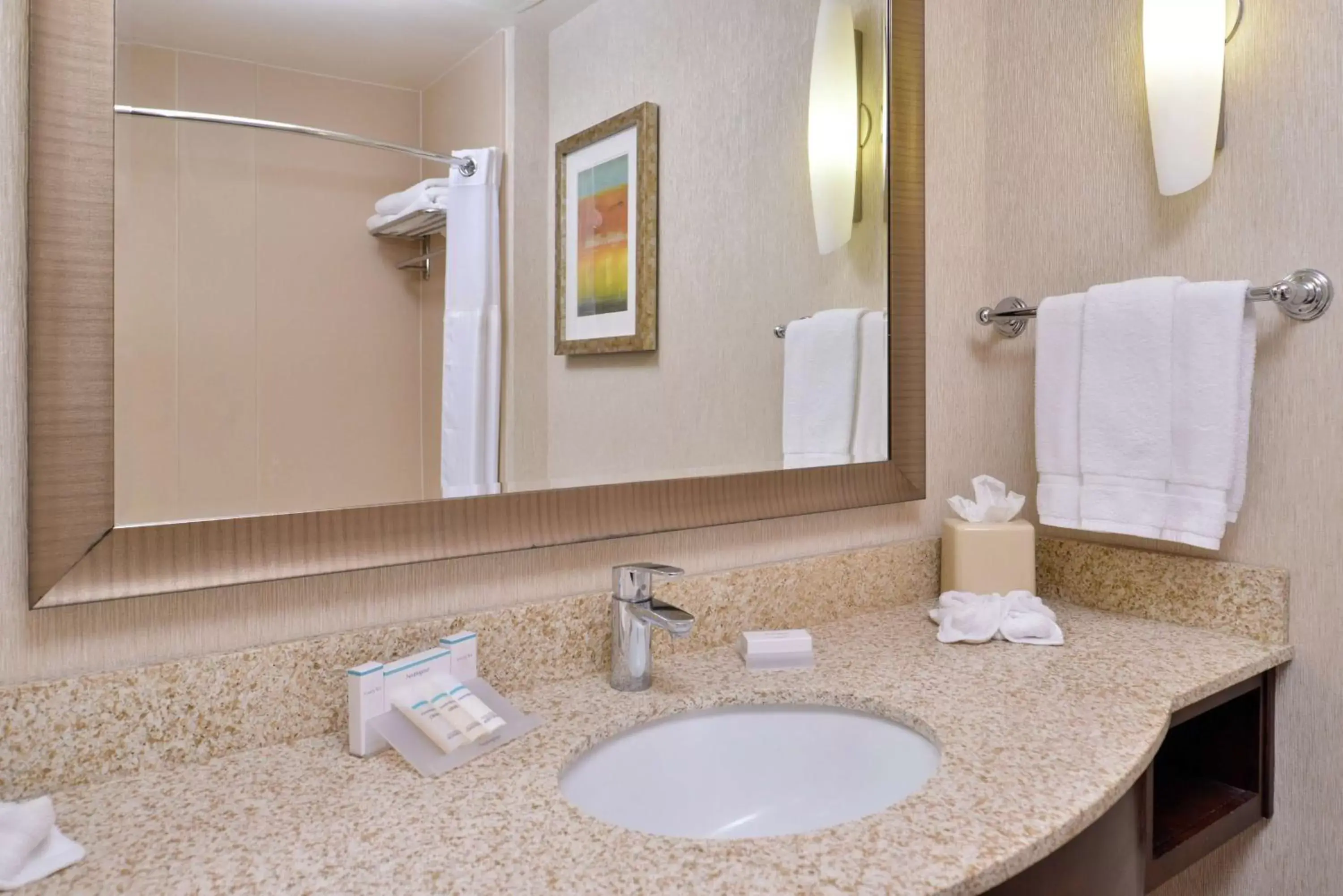 Bathroom in Hilton Garden Inn Boise Spectrum Bathroom in Hilton Garden Inn Boise Spectrum