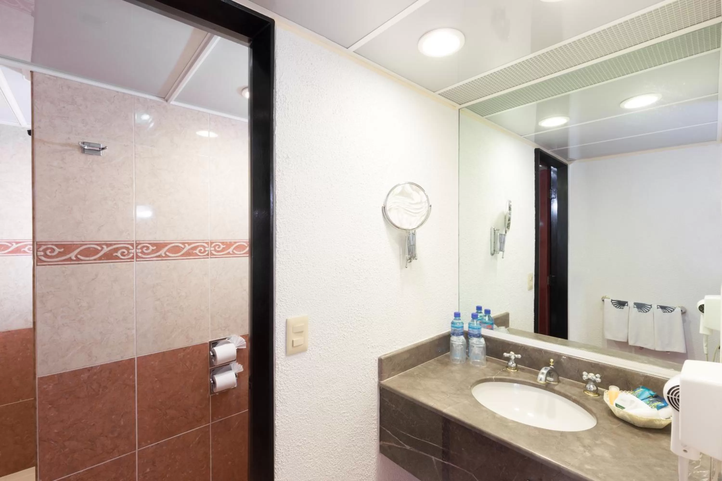 Shower in Hotel Estoril