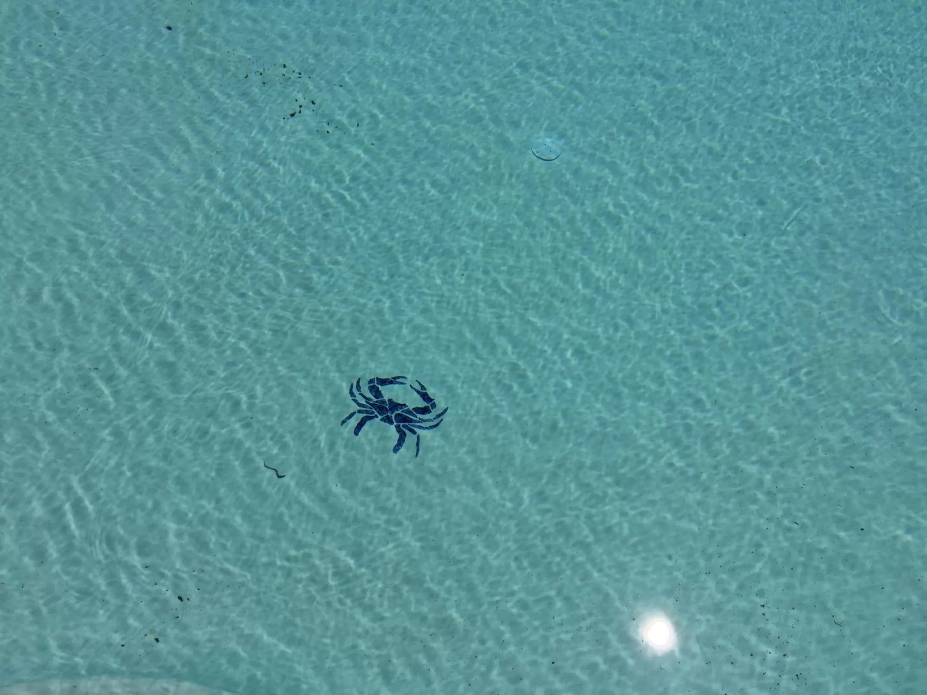 Other in Anchored Inn at Hidden Harbor