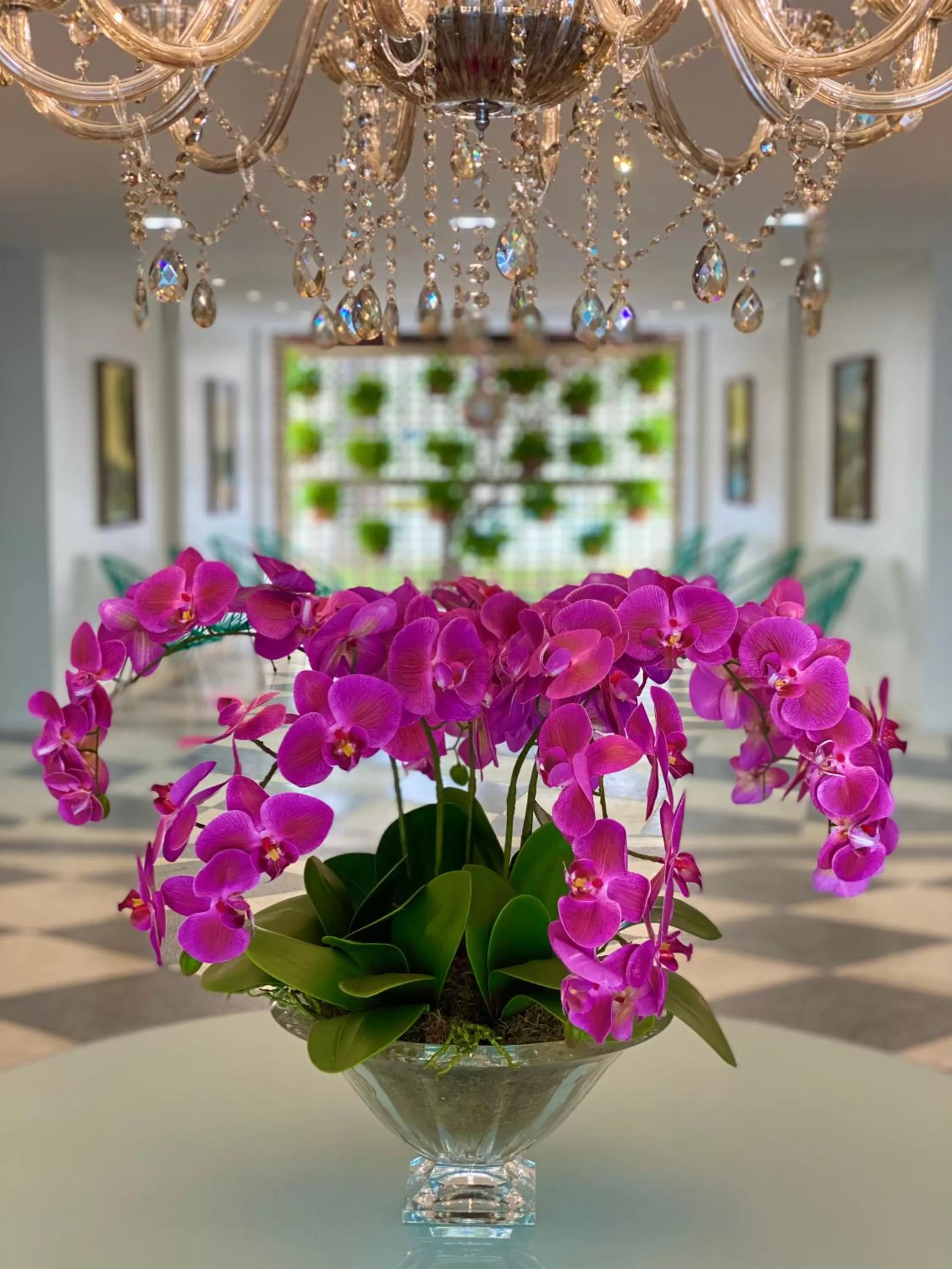 BELVEDERE PAULO AFONSO