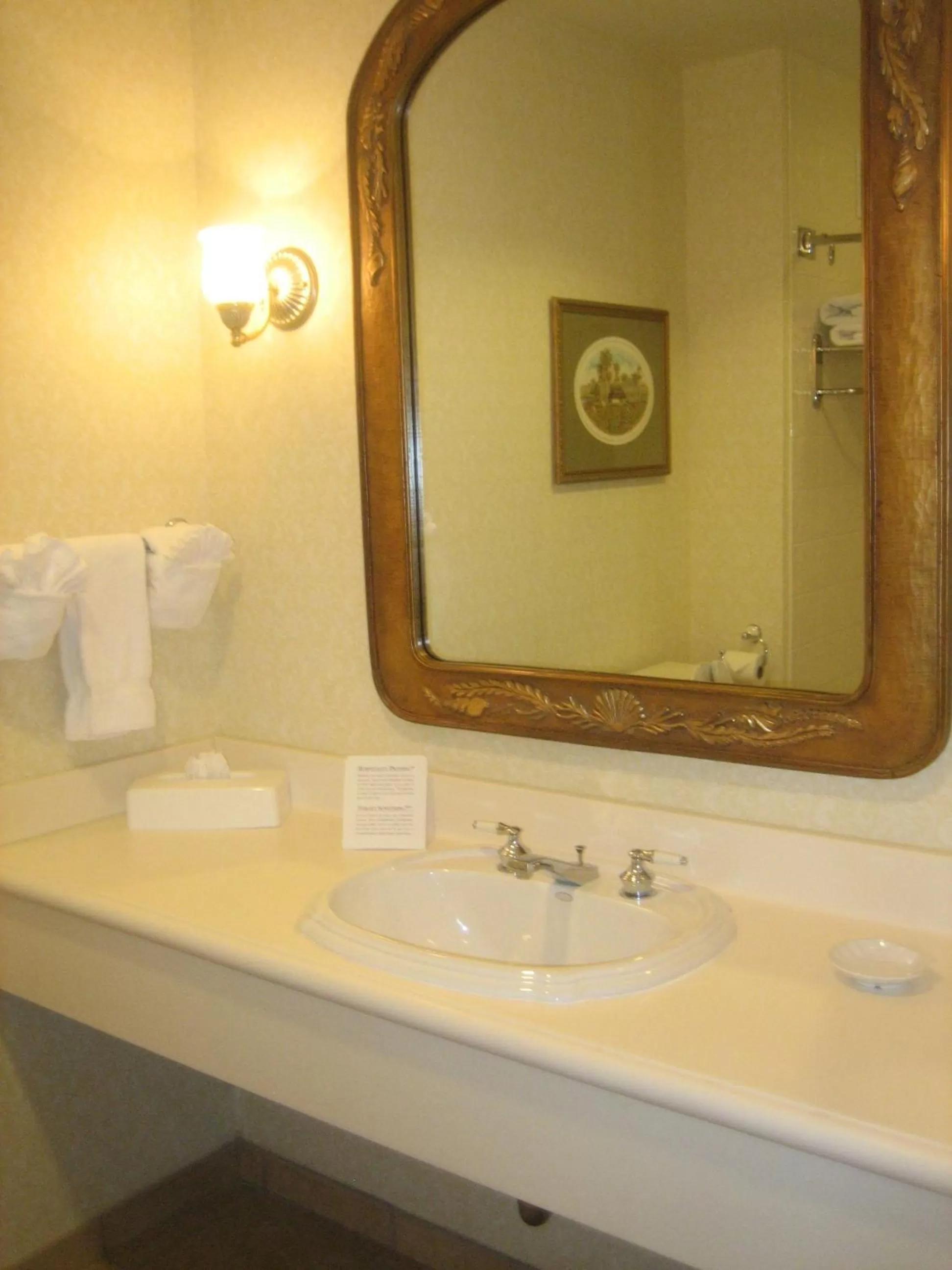 Bathroom in Monumental Hotel Orlando