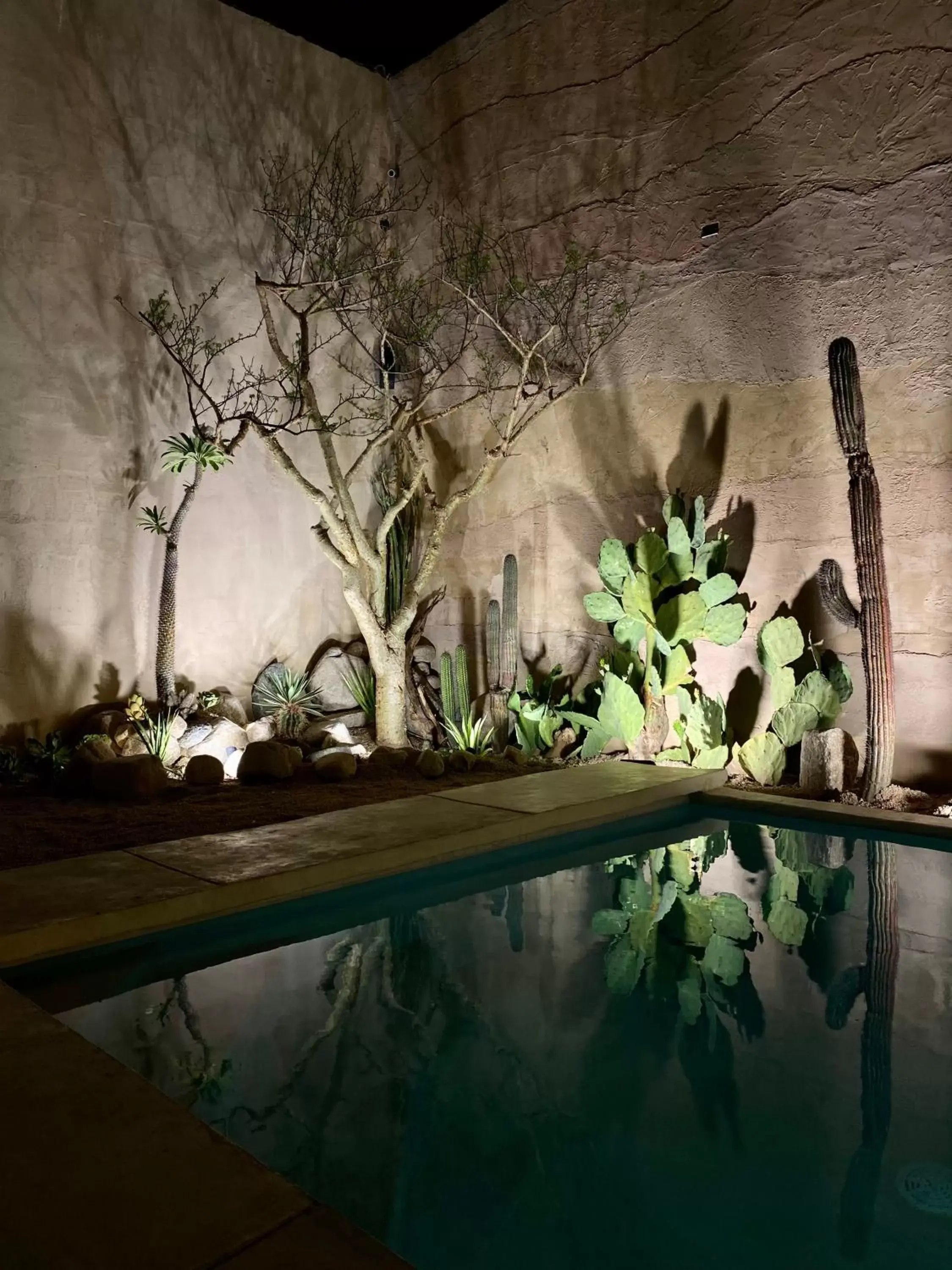 Swimming Pool in Casa Bo