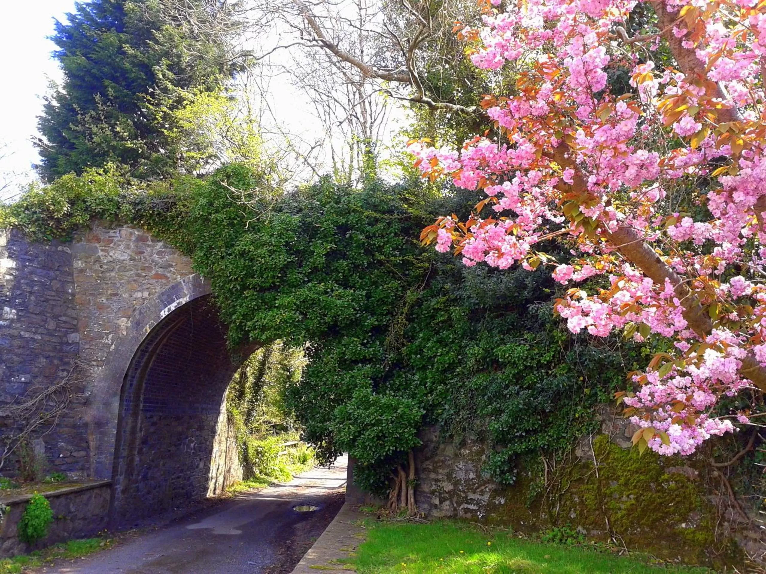 Spa and wellness centre/facilities in Ivybridge Guesthouse