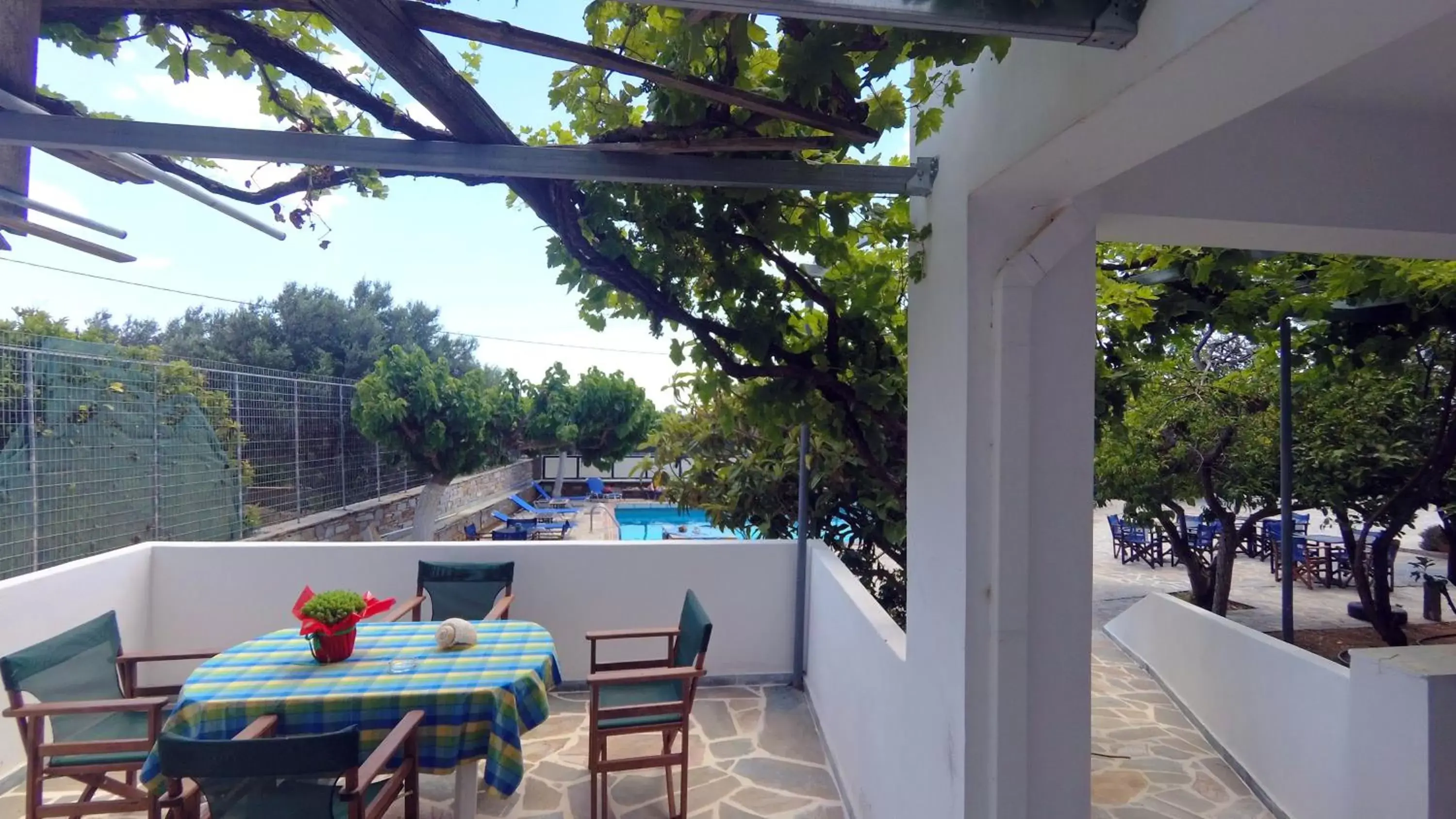 Balcony/Terrace in Hotel Zeus