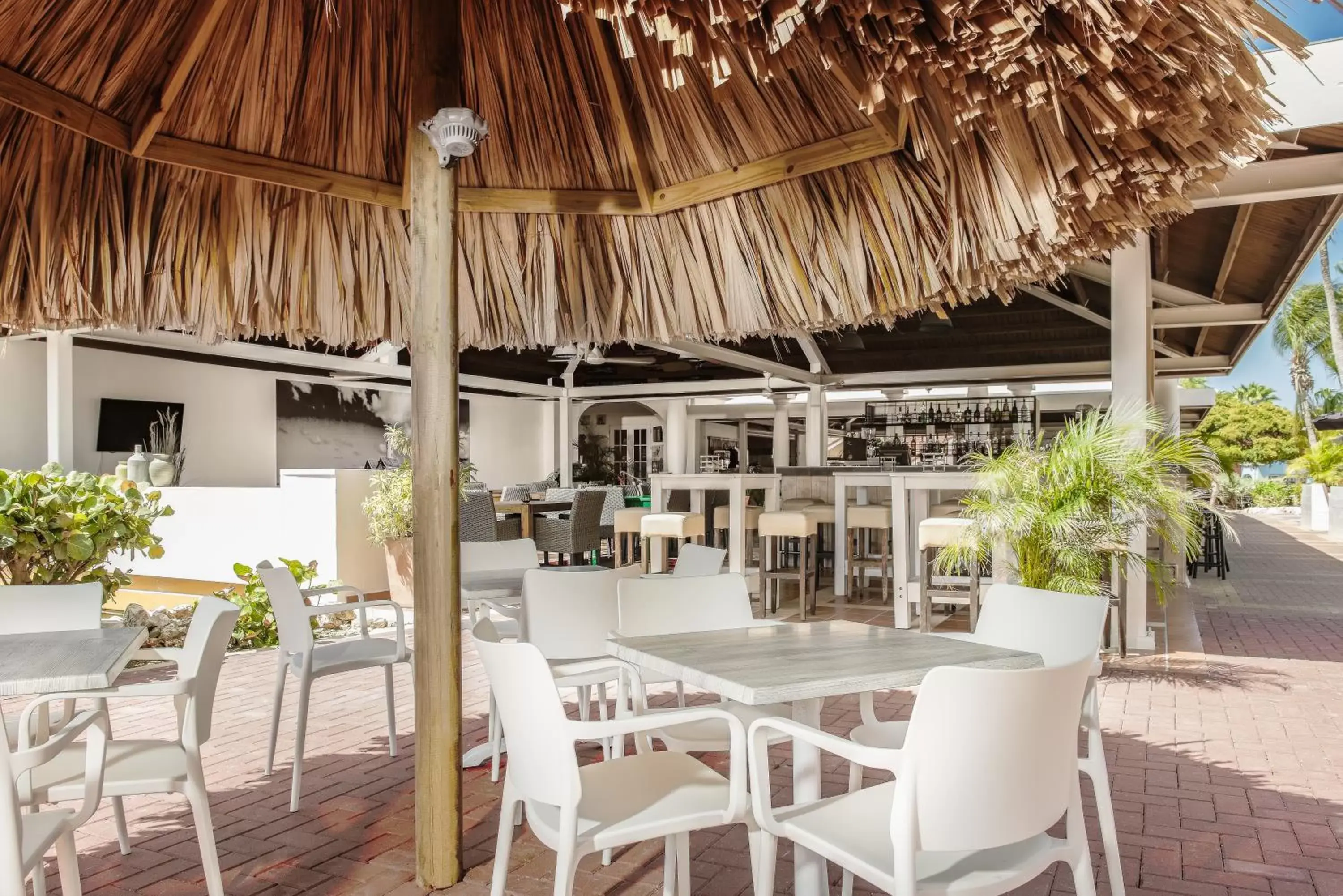Restaurant/Places to Eat in Livingstone Jan Thiel Resort