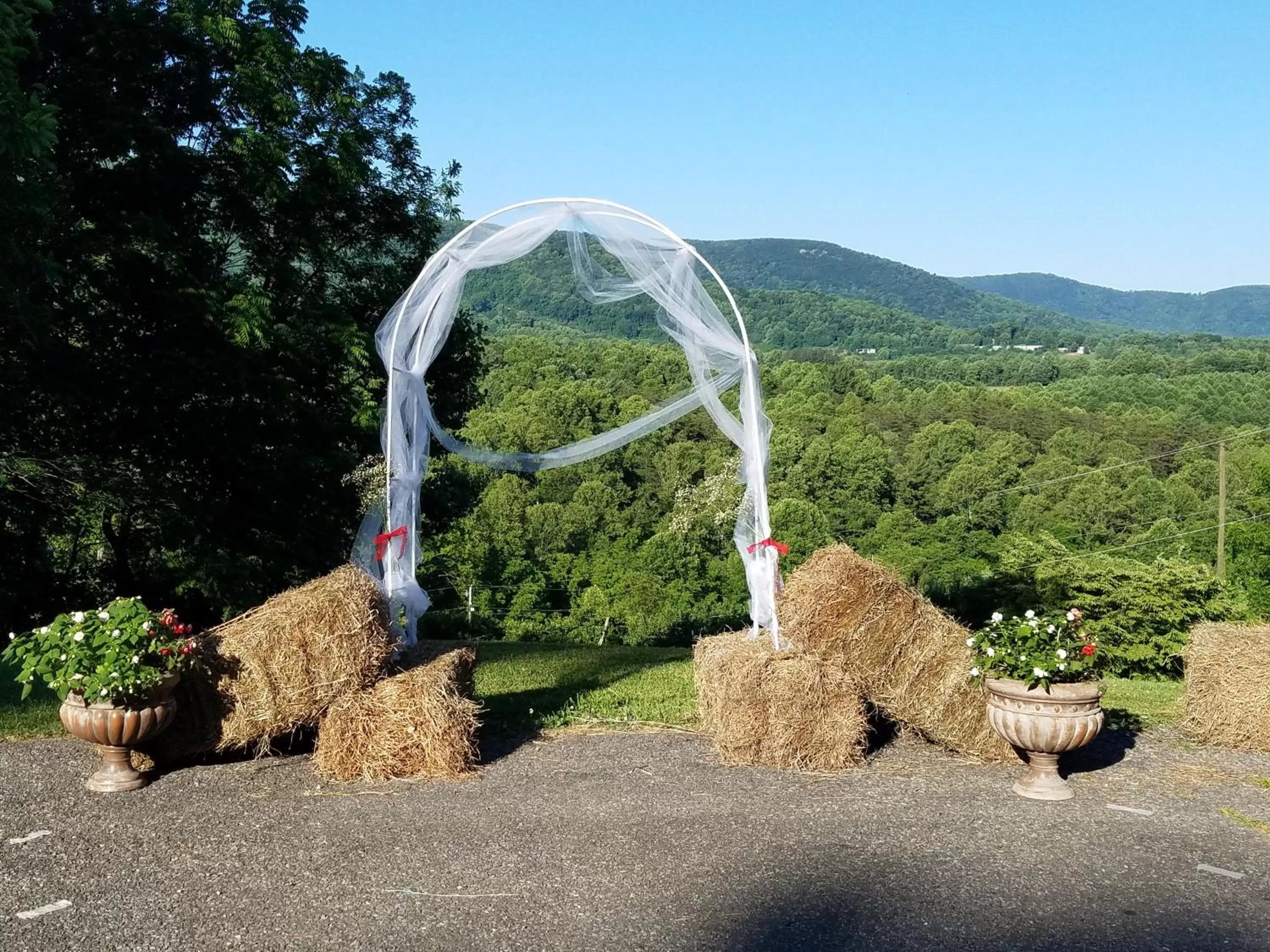 Blue Ridge Manor Bed and Breakfast