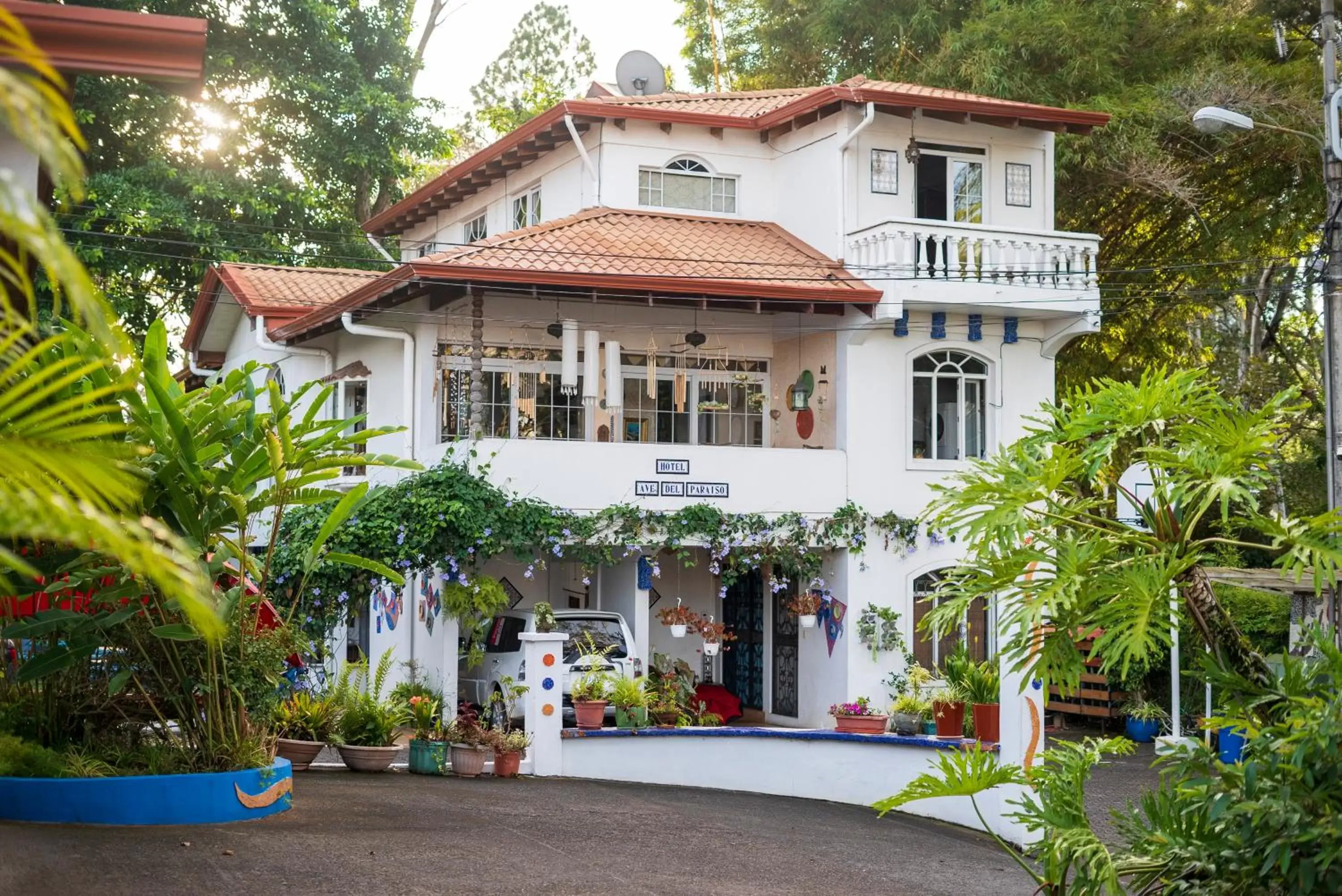 Property Building in Hotel Ave del Paraíso