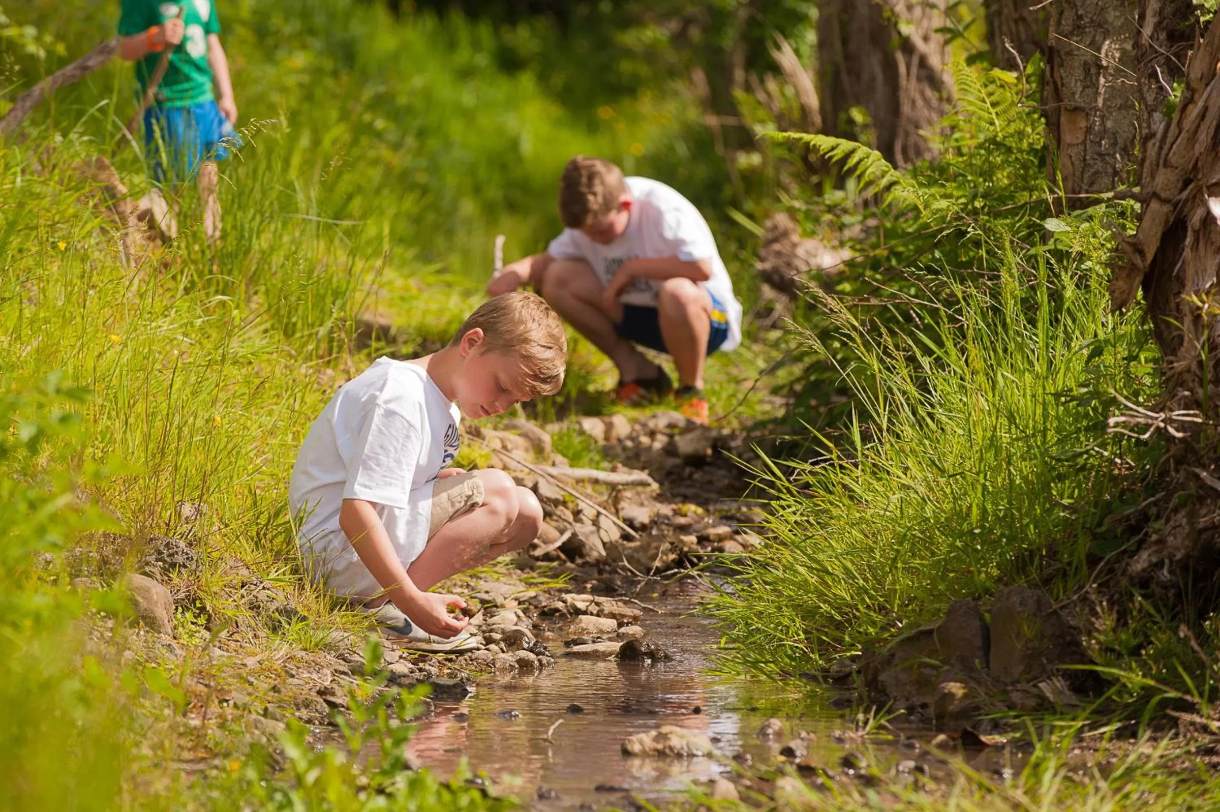Natural landscape in Radisson BLU Hotel and Spa, Limerick
