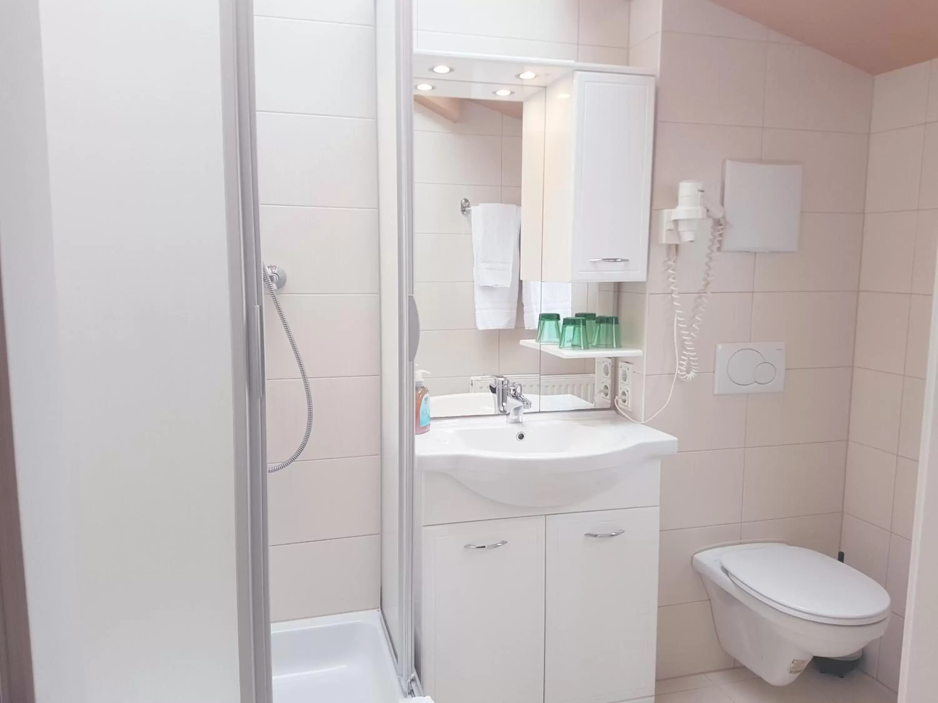 Shower, Bathroom in Hotel Haydn