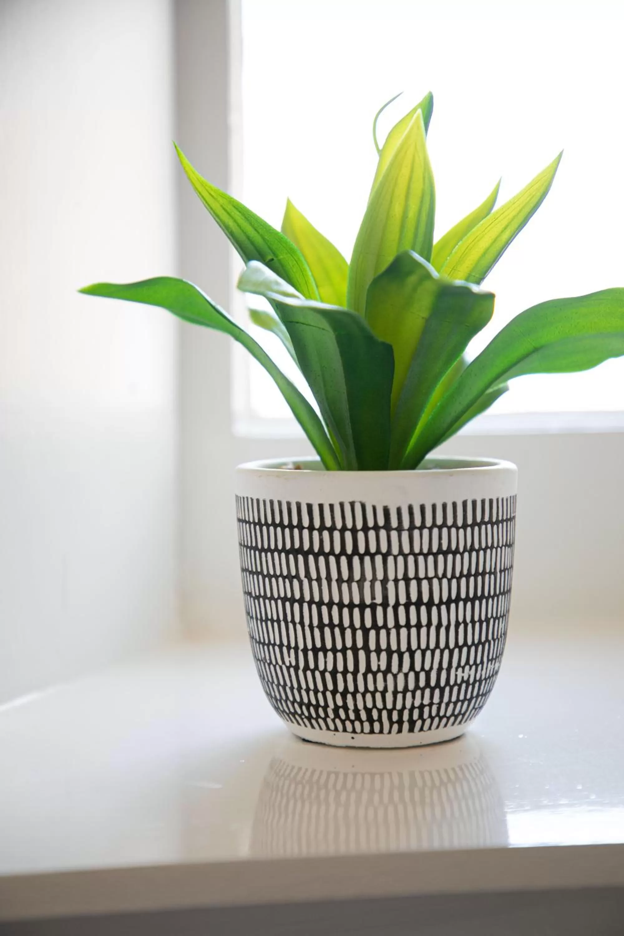 Decorative detail in Park View R & R - Adult Only - Self-Catering - Free Parking - EV Point