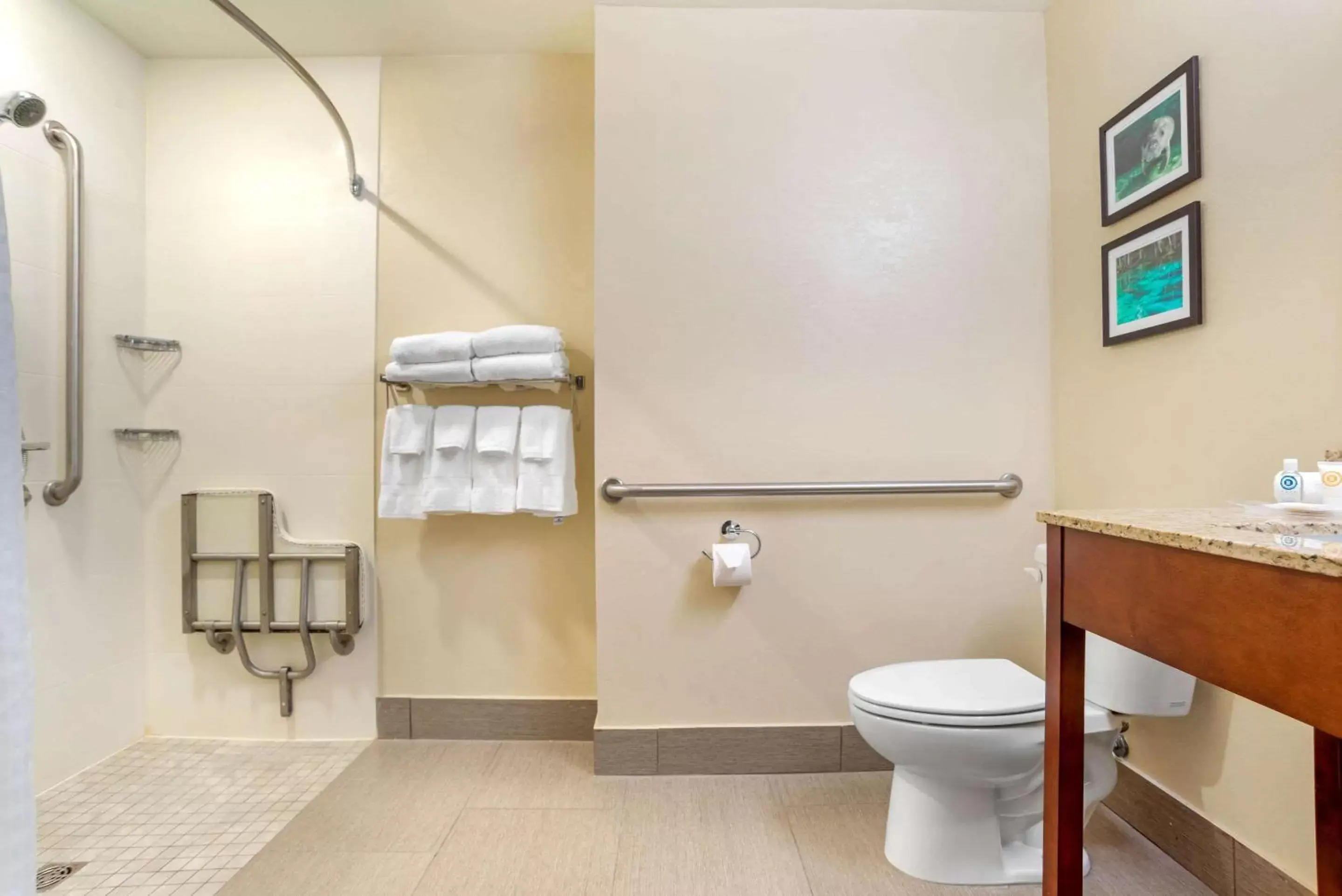 Bedroom, Bathroom in Comfort Suites Tallahassee Downtown