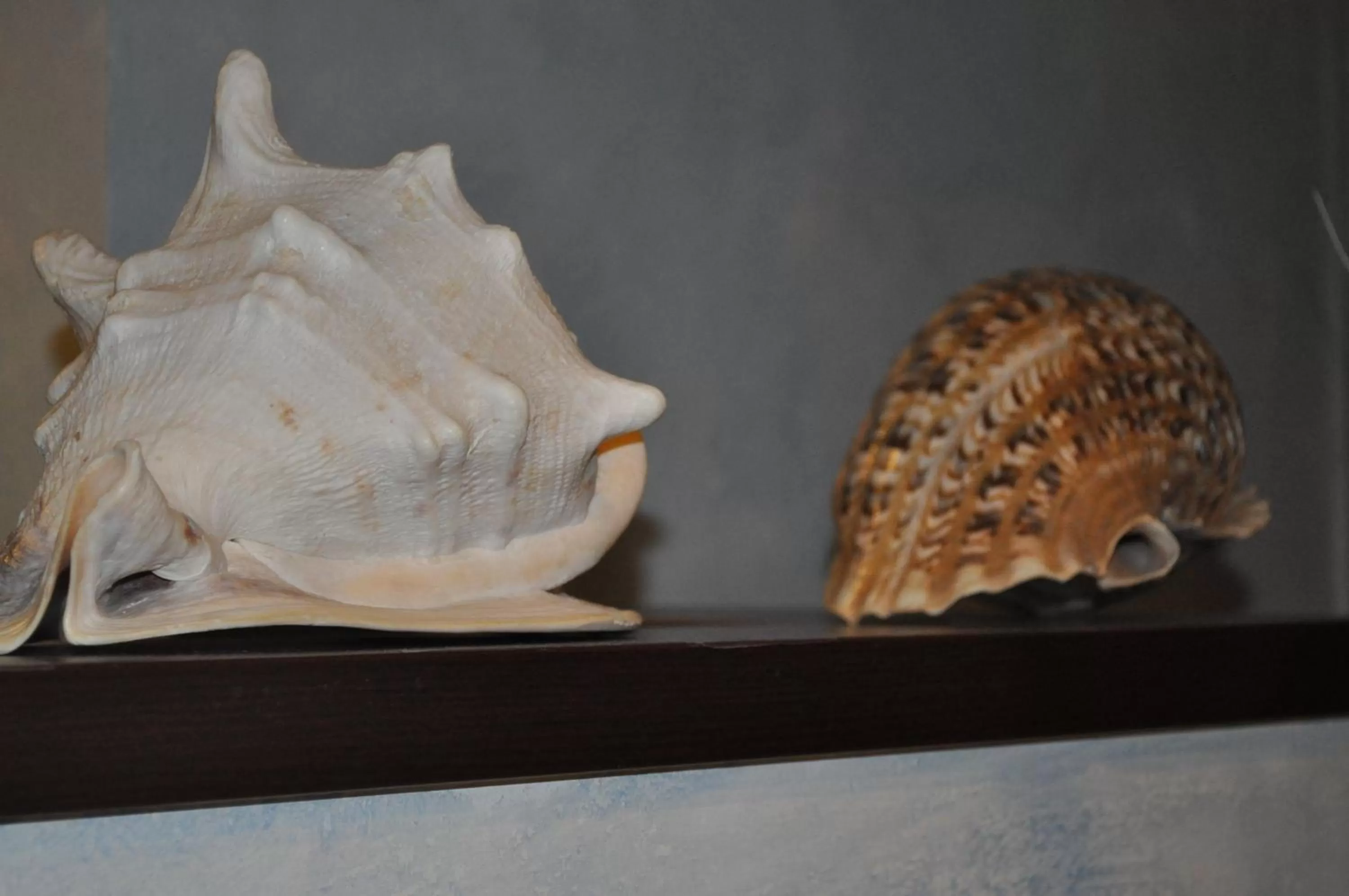 Other in Hotel Augustus